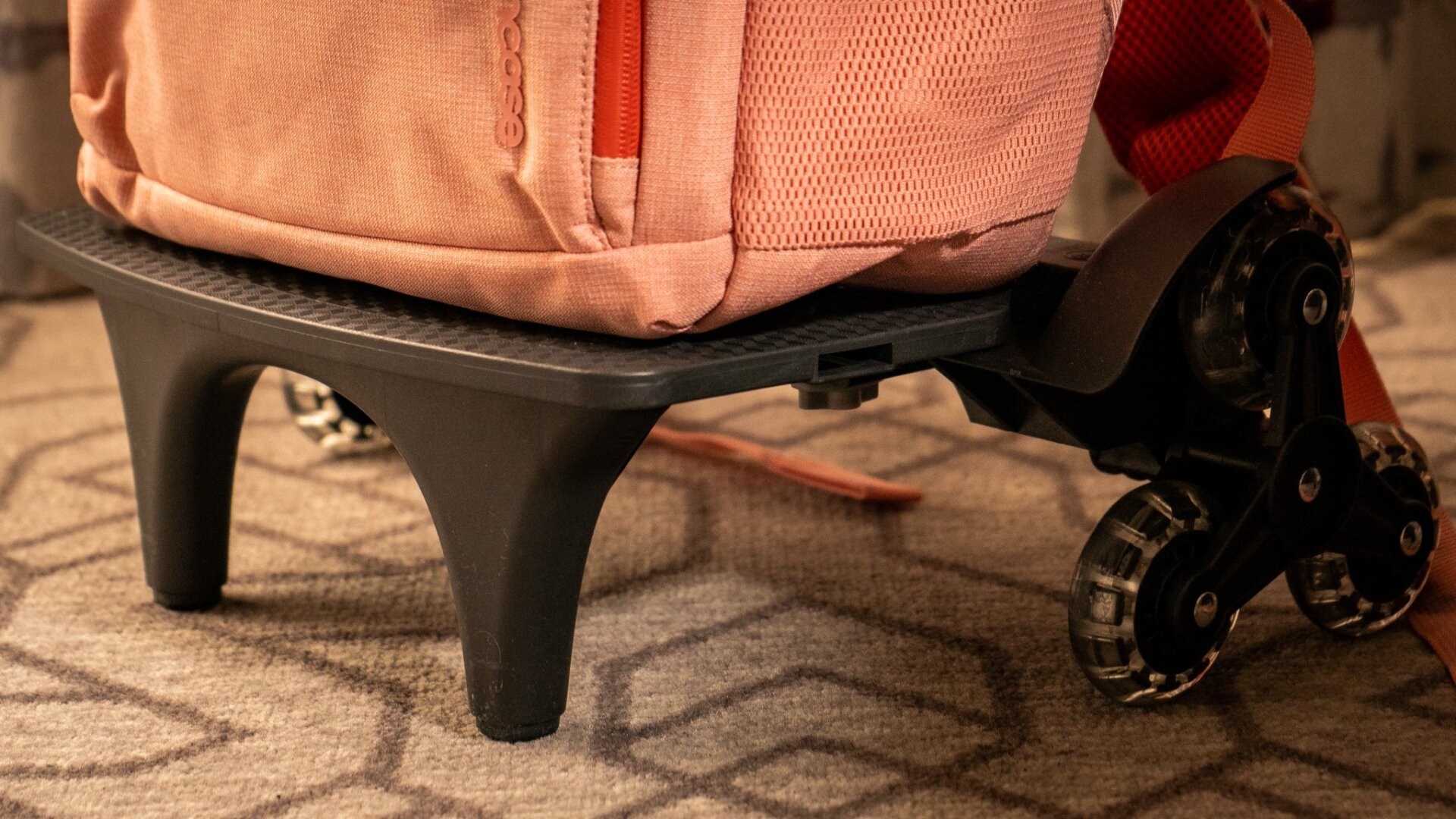 Photo: Florence Ion / Gizmodo