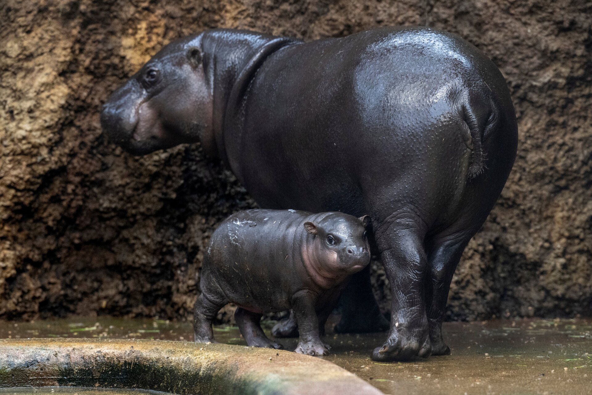 “Don’t talk to me or my son ever again.”