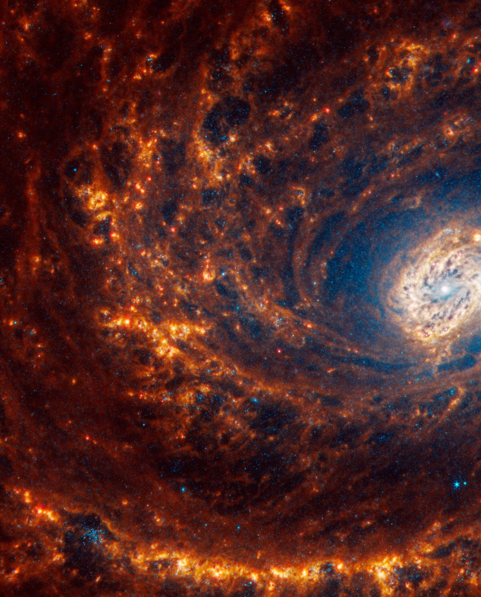 Image: NASA, ESA, CSA, STScI, J. Lee (STScI), T. Williams (Oxford), PHANGS Team