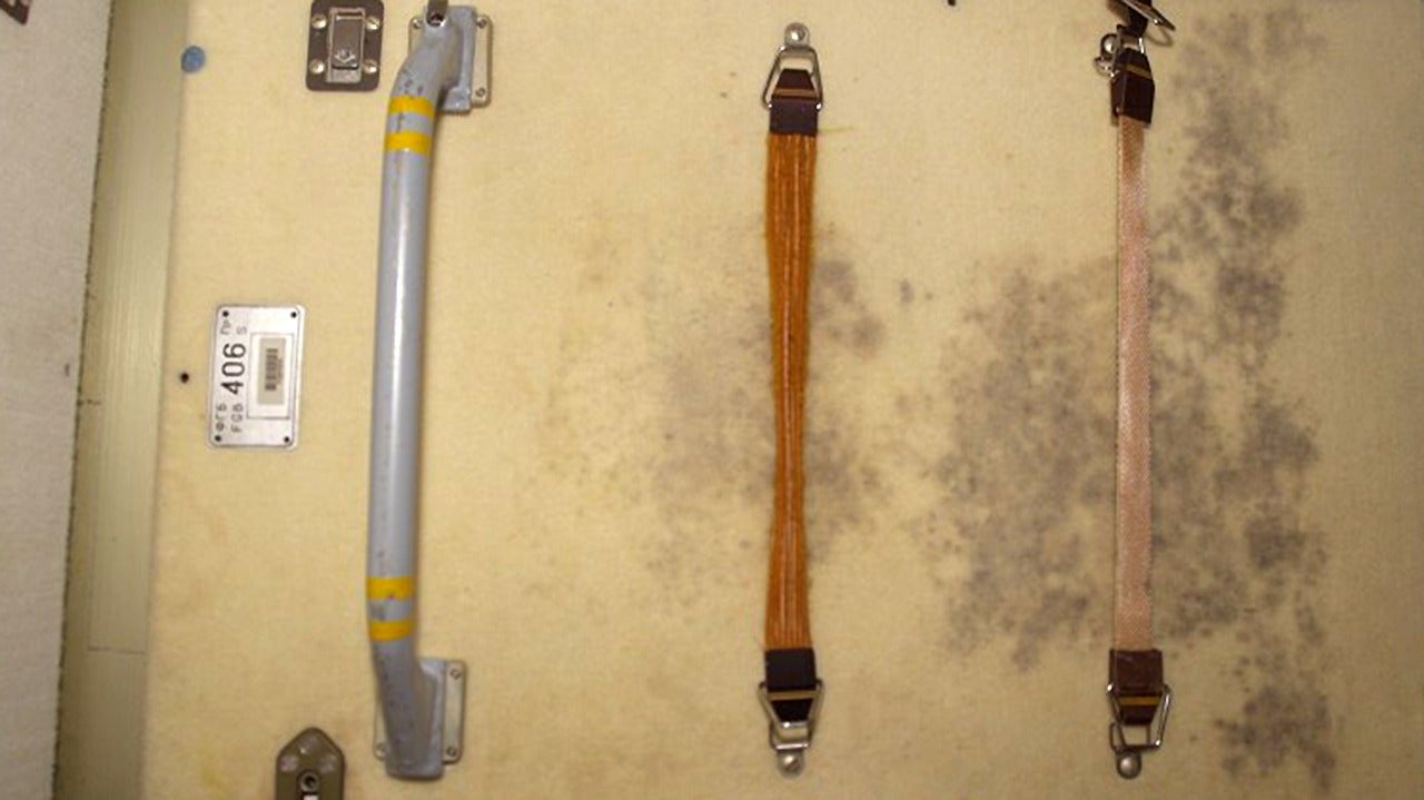 Mold on the ISS walls, where exercise clothing was hung to dry.