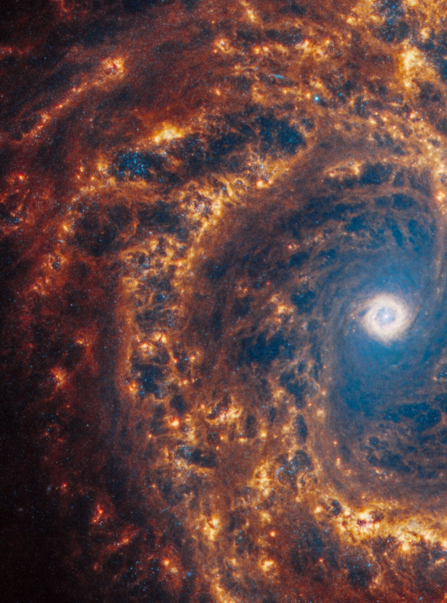 Image: NASA, ESA, CSA, STScI, J. Lee (STScI), T. Williams (Oxford), PHANGS Team
