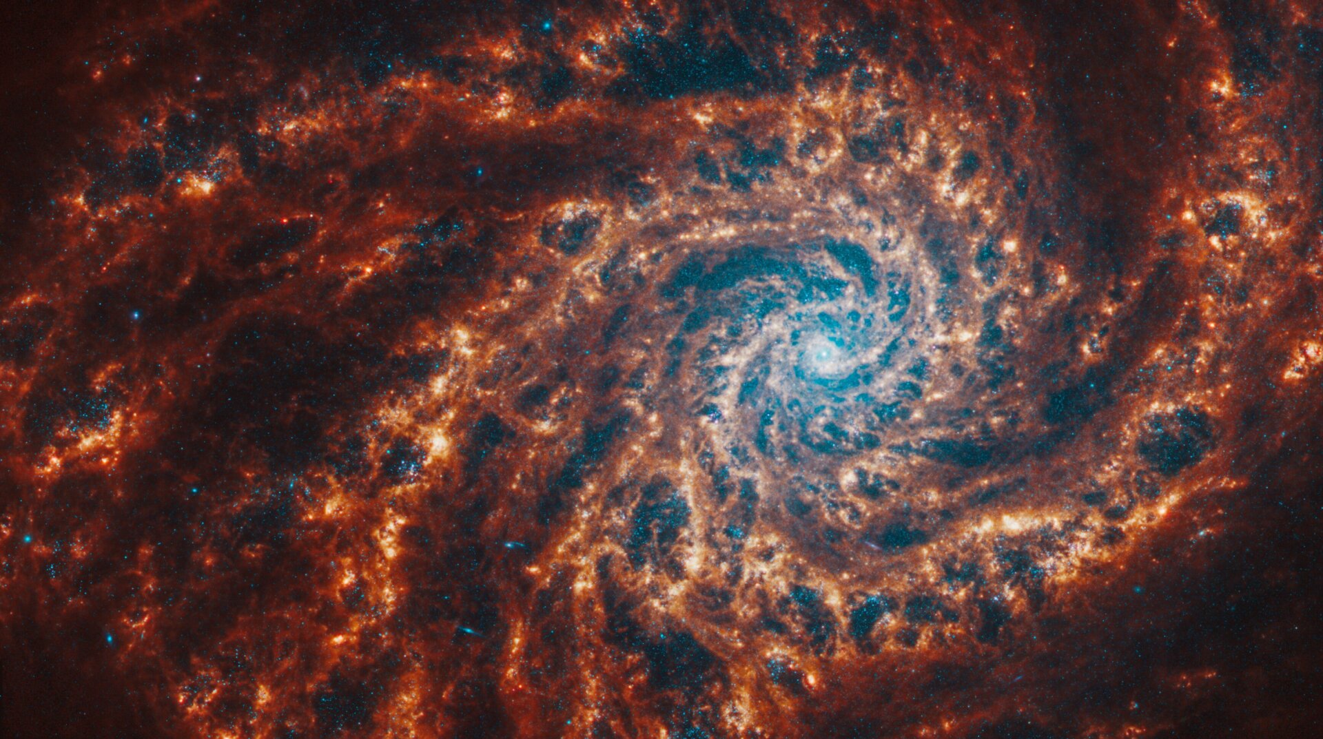 Image: NASA, ESA, CSA, STScI, J. Lee (STScI), T. Williams (Oxford), PHANGS Team
