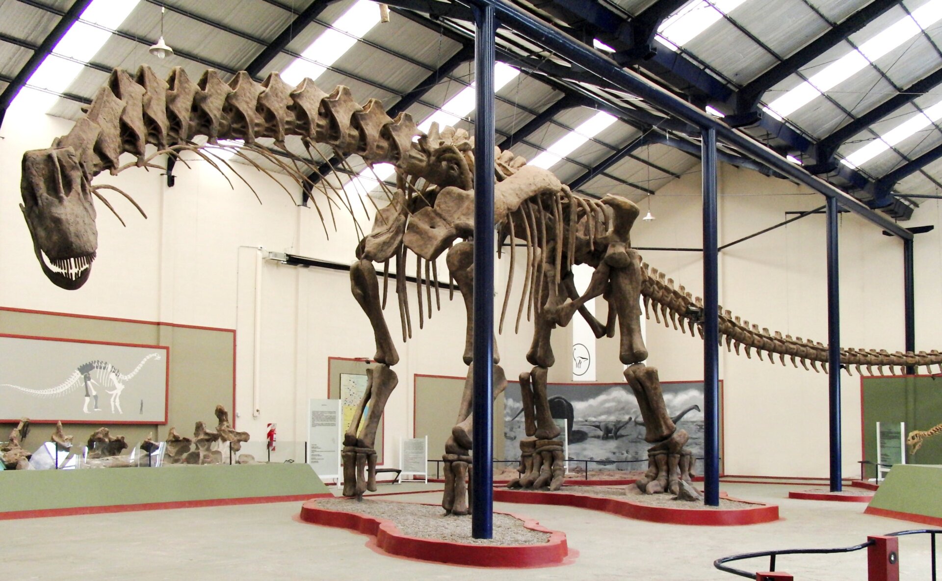 An Argentinosaurus skeleton. Big!