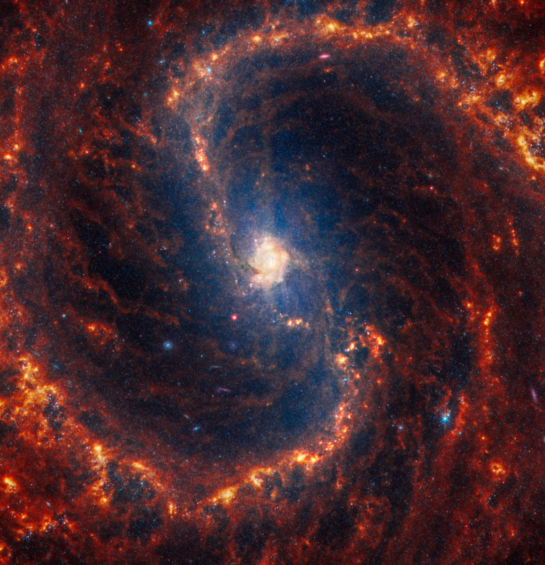 Image: NASA, ESA, CSA, STScI, J. Lee (STScI), T. Williams (Oxford), PHANGS Team