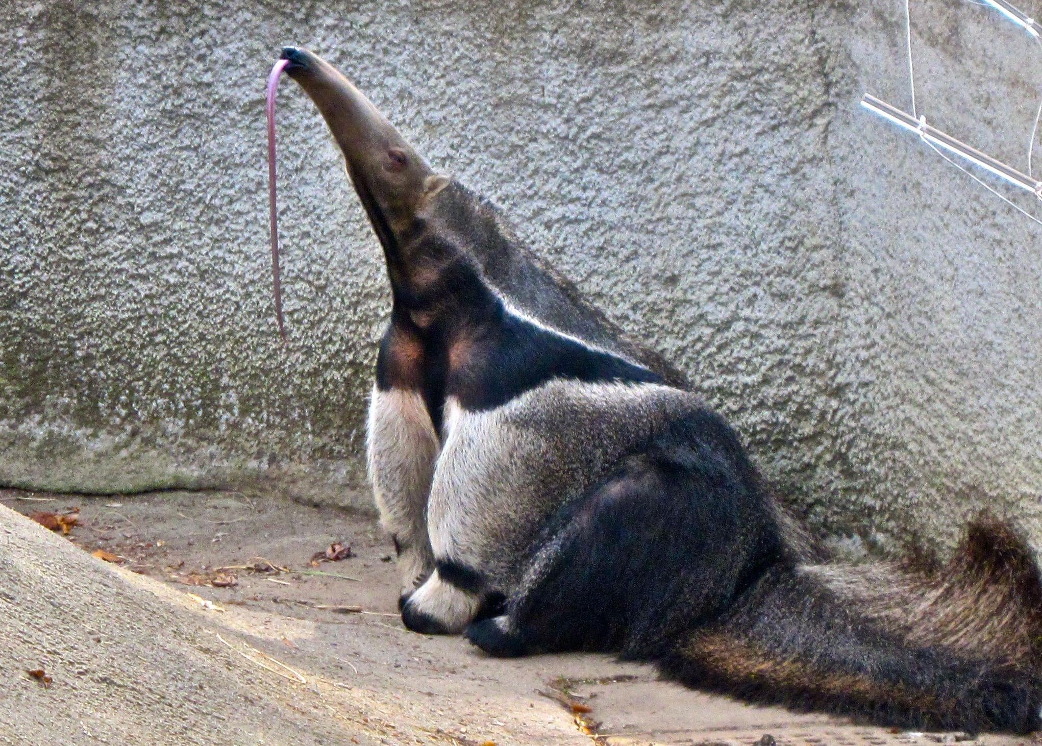 Photo: Ellen/Wikimedia Commons