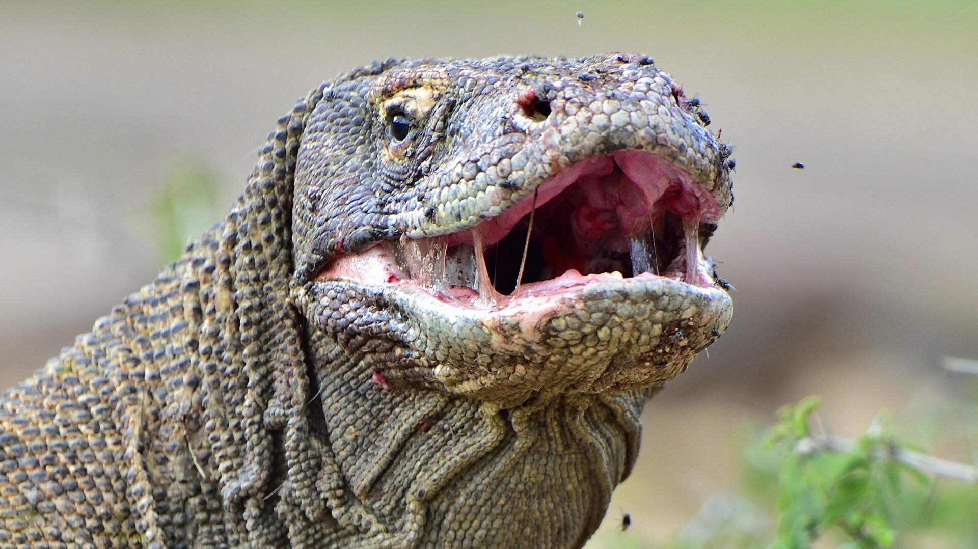 Photo: Sergey Uryadnikov