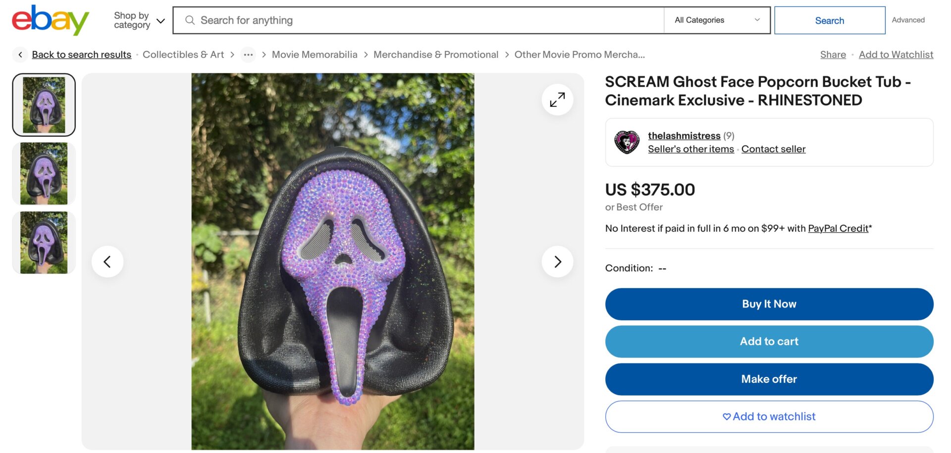 Screenshot: eBay / thelashmistress