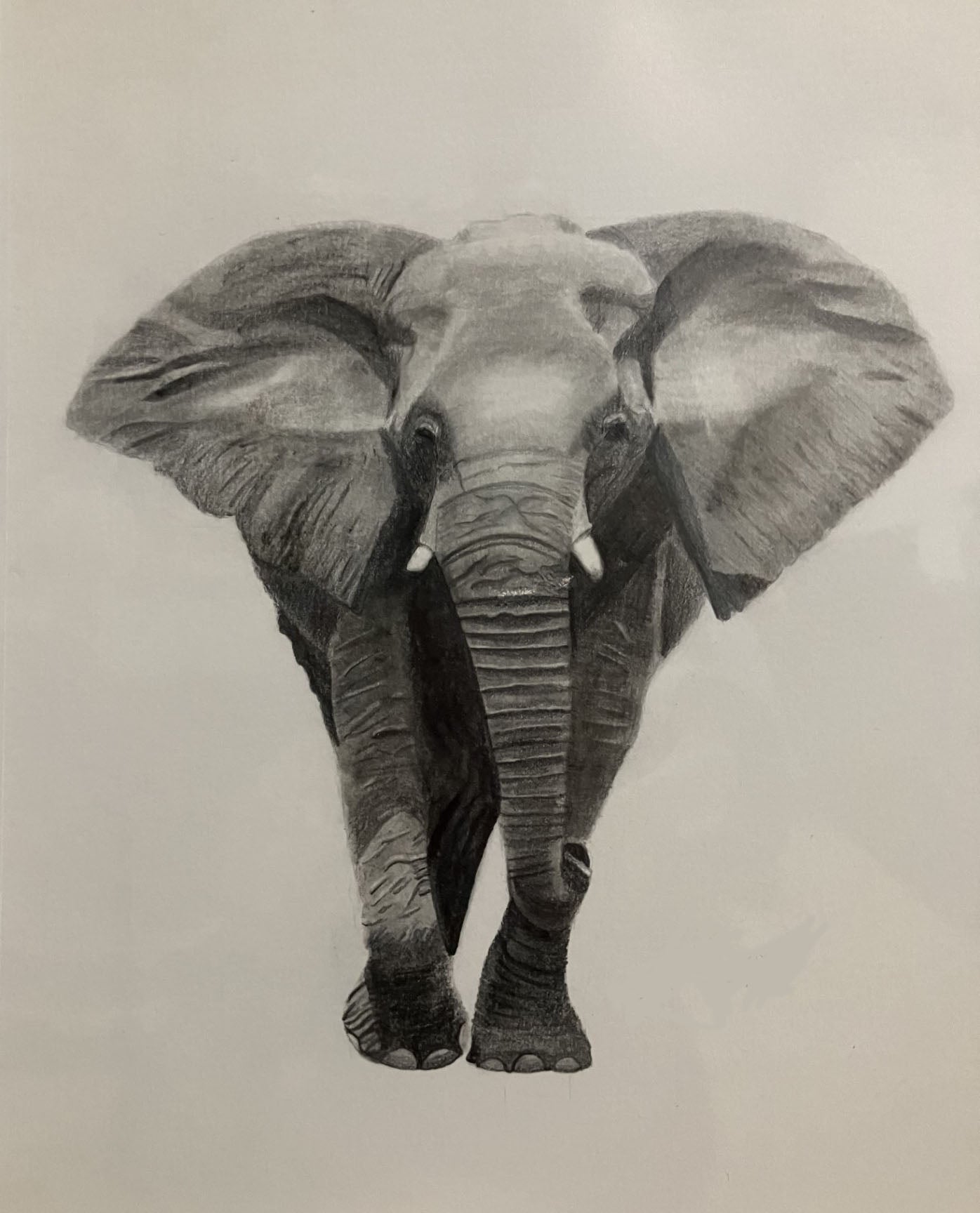 Illustration: Jaxon, Age 12 / United States of America