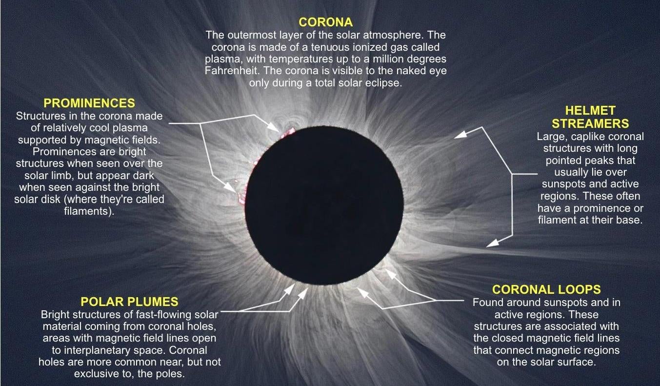 A highly processed NASA composite image showing some of the features of the Sun’s corona. 