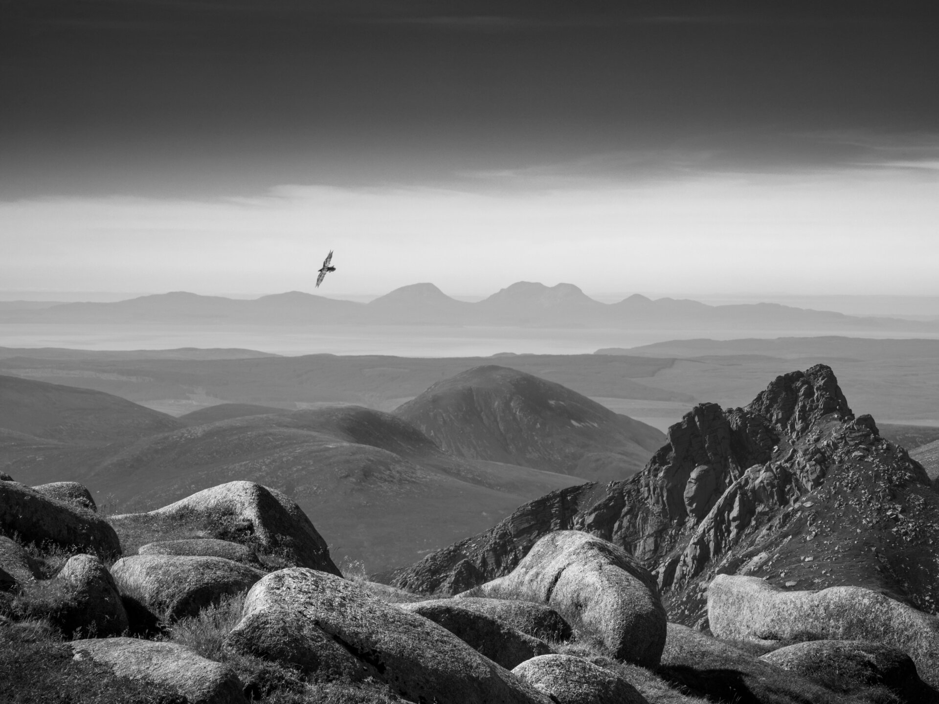 Photo: © Robin Dodd / British Wildlife Photography Awards