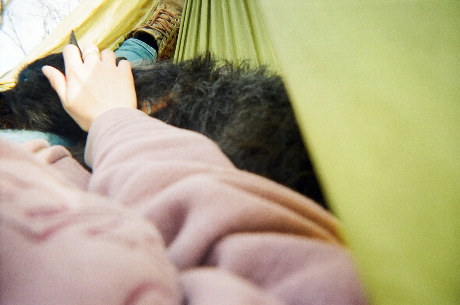 Photo: Garland-Lewis et al., 2024, PLOS ONE, CC-BY 4.0