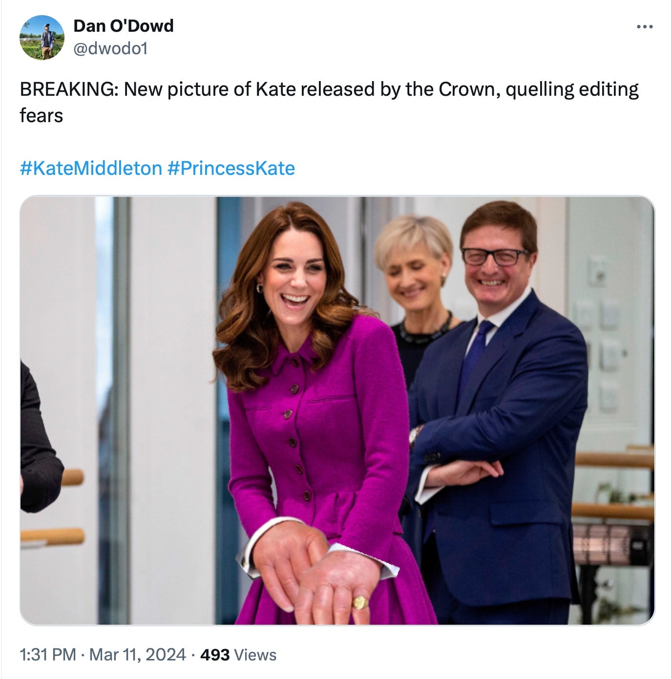 Screenshot: @dwodo1 / X