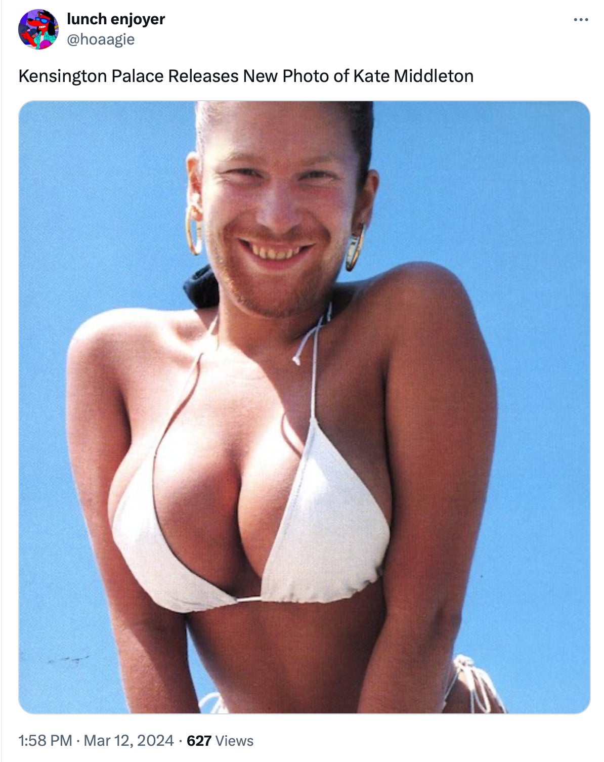 Screenshot: @hoaagie / X