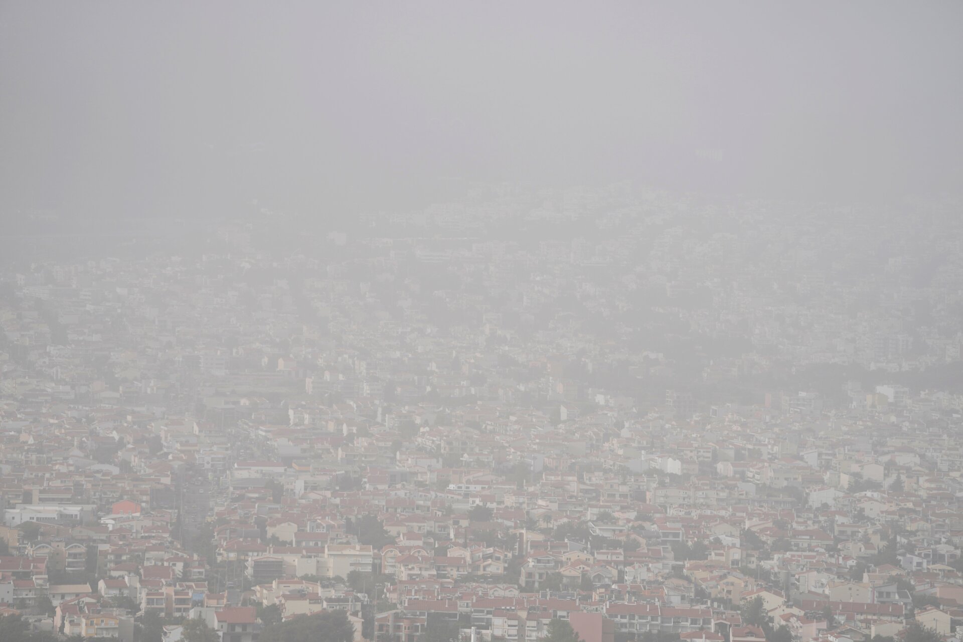 Photo: Thanassis Stavrakis