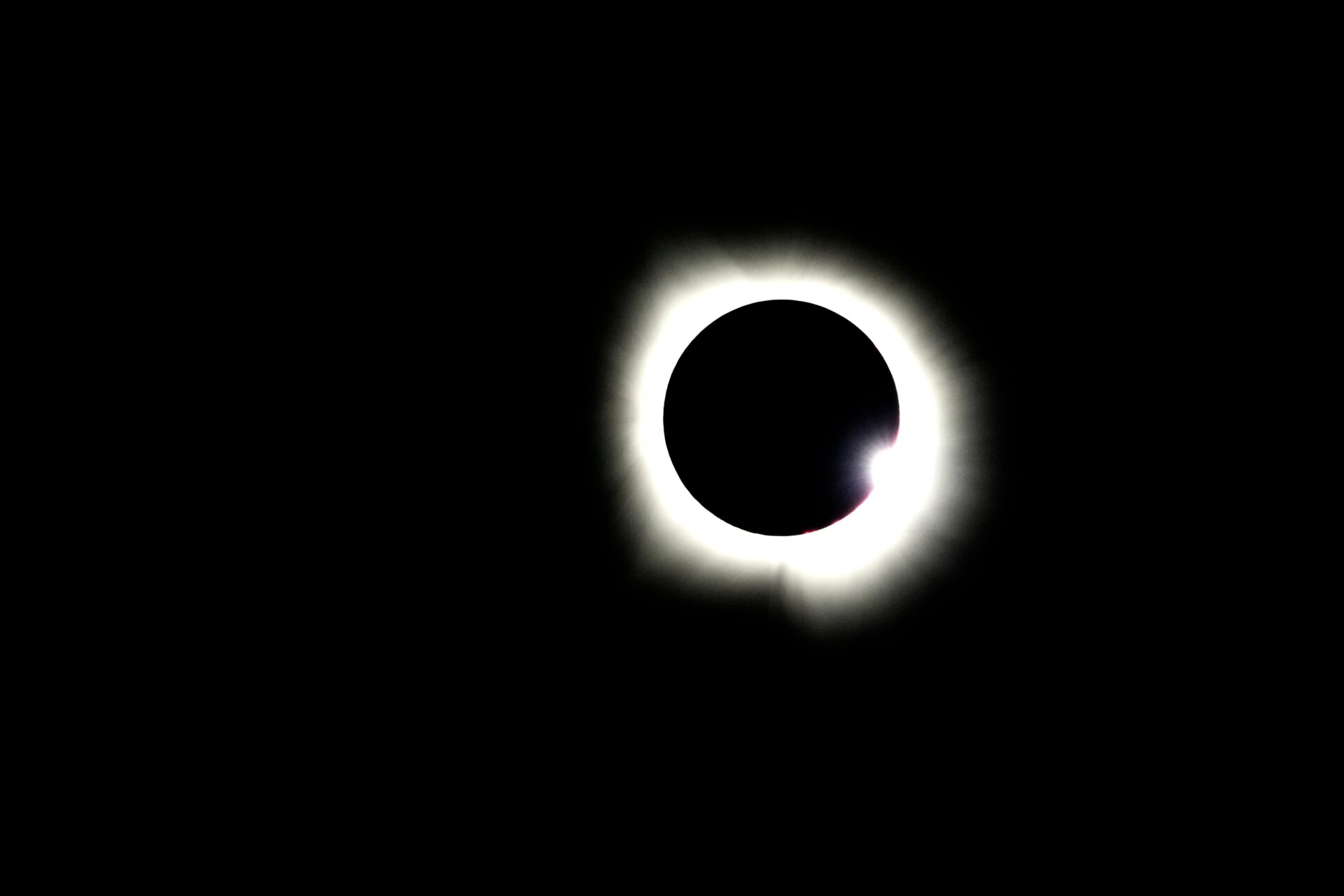 Photo: Tony Gutierrez