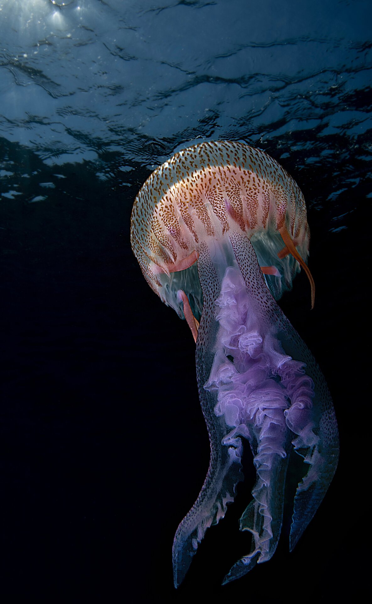 Photo: Giovanni Crisafulli