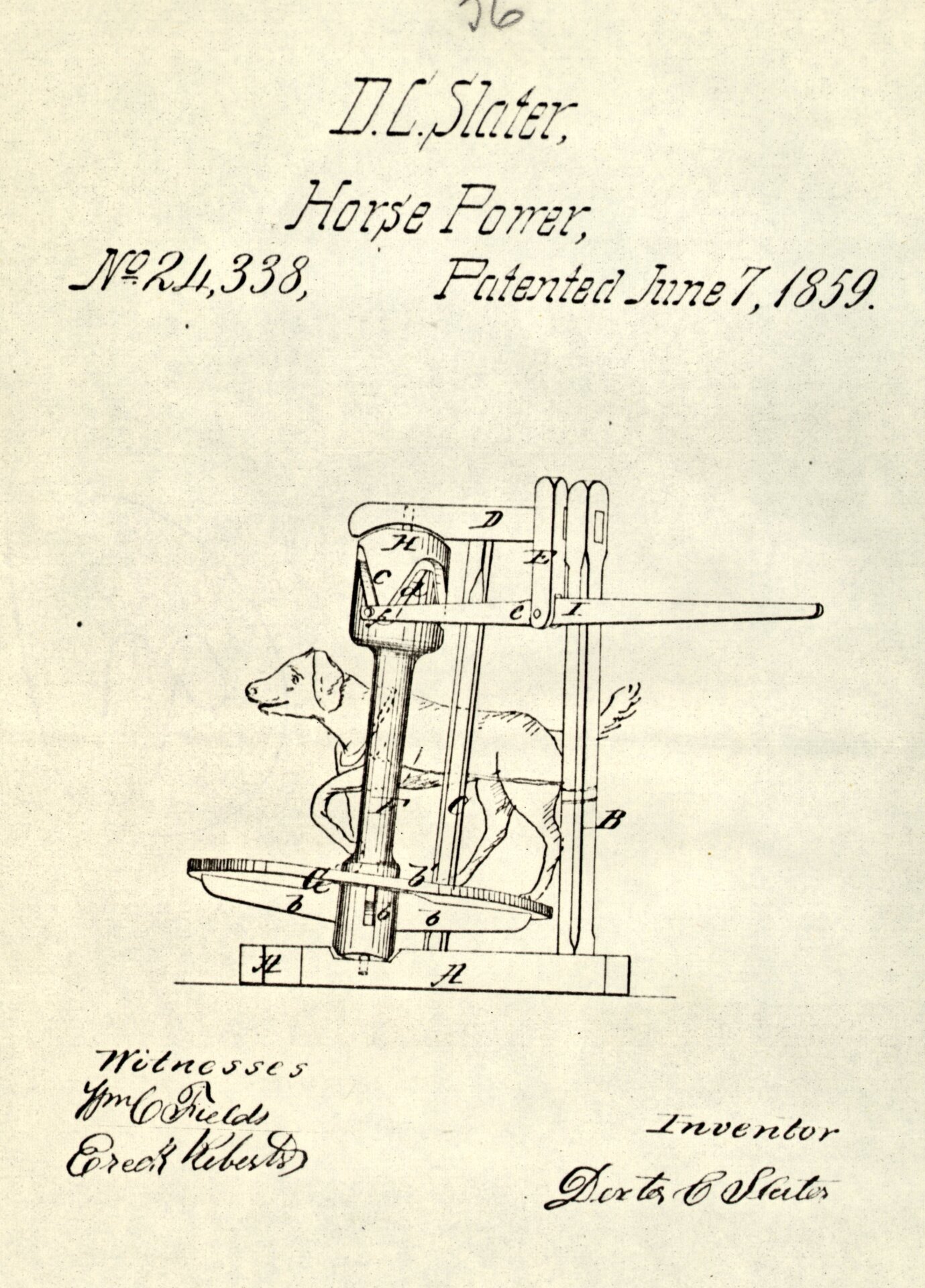 Dexter C Slater’s patented dog-power machine, patent no. 24338. The dog  walks around a turning disc to provide enough power to operate a range  of small machinery. 