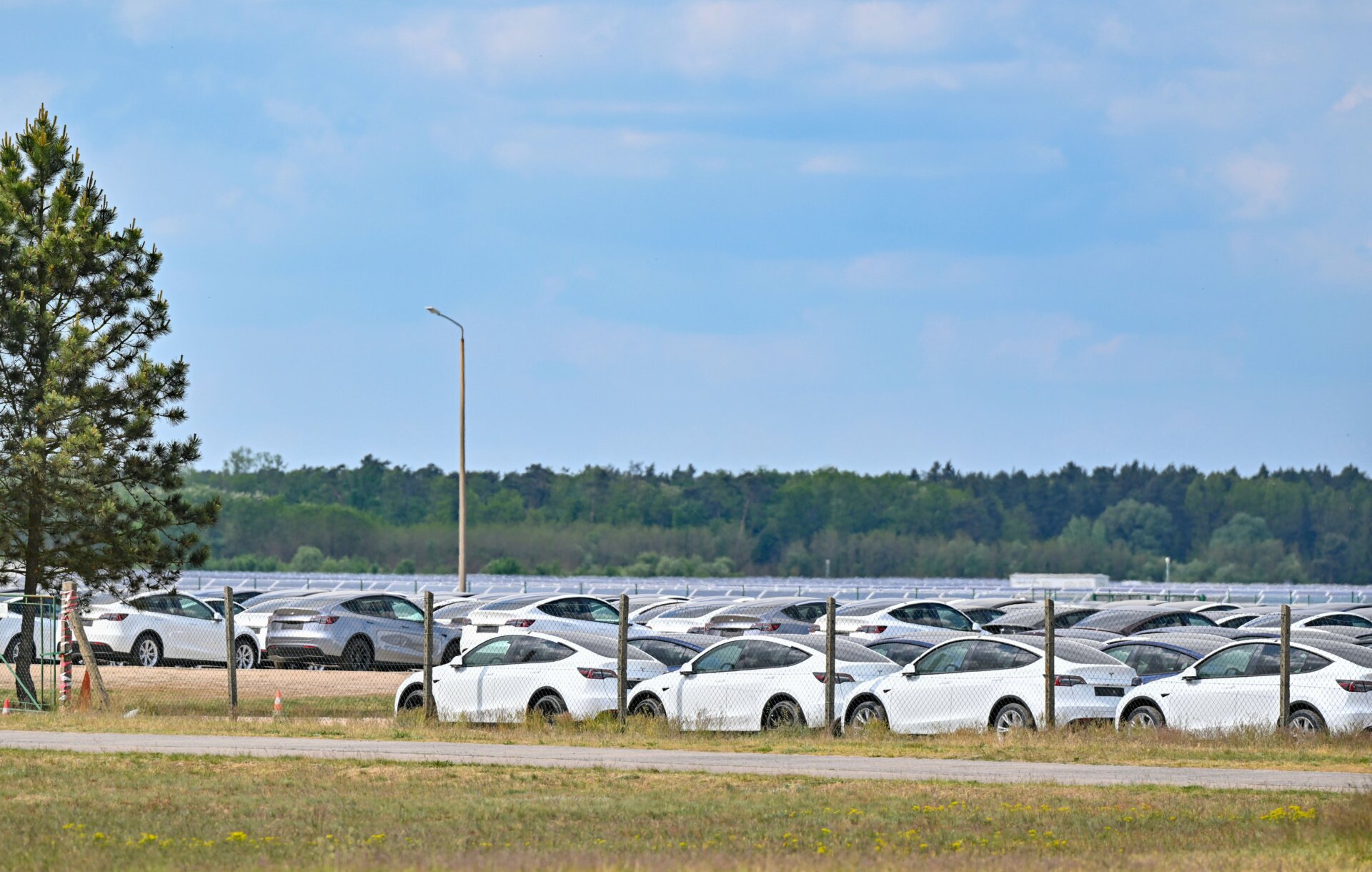 New Model Y electric vehicles are parked at the Neuhardenberg airfield on May 10, 2024. 