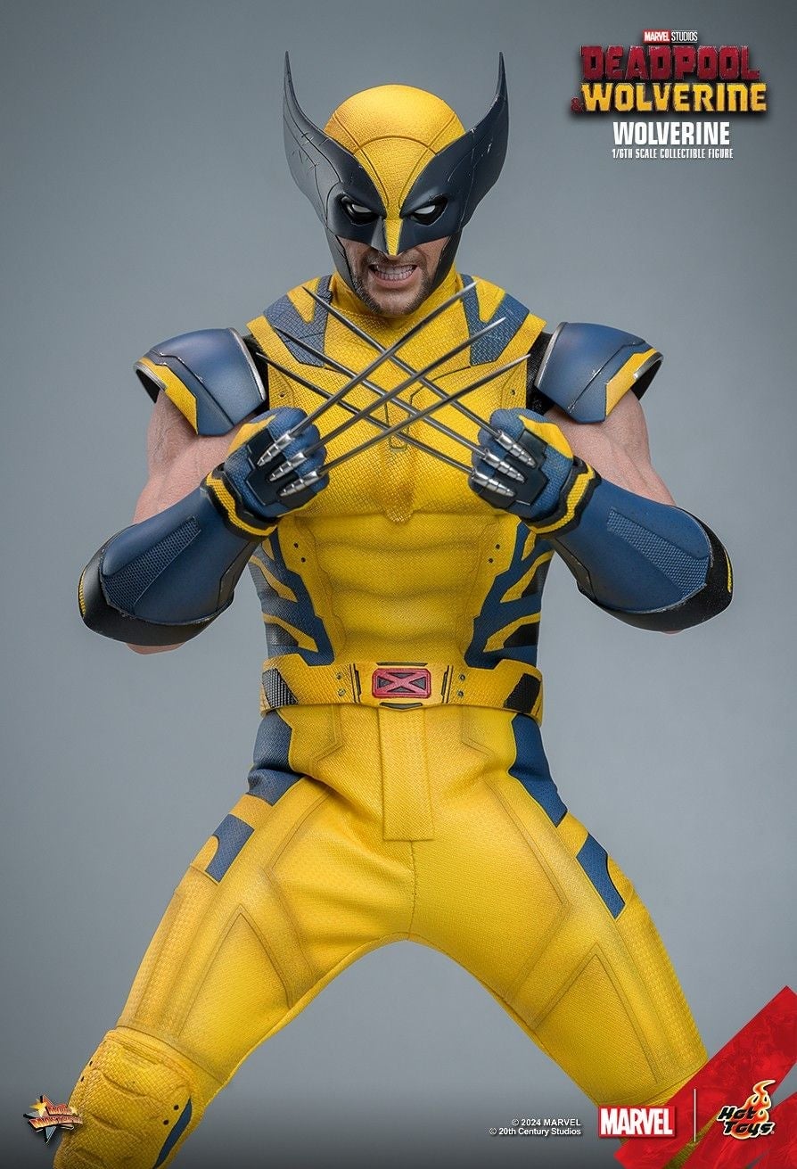 Image: Hot Toys