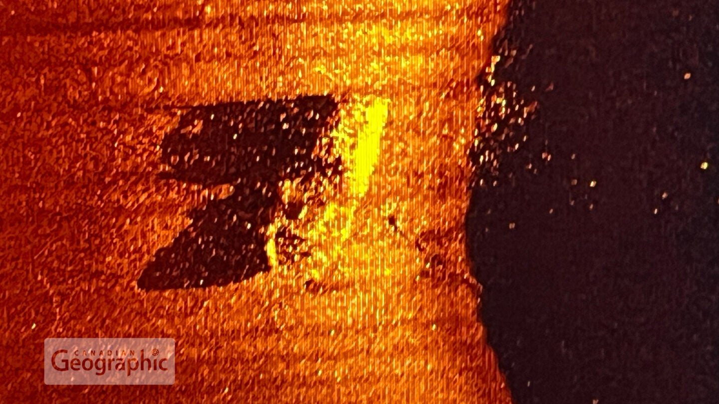 A side-scan sonar image of Quest, upright on the seabed.