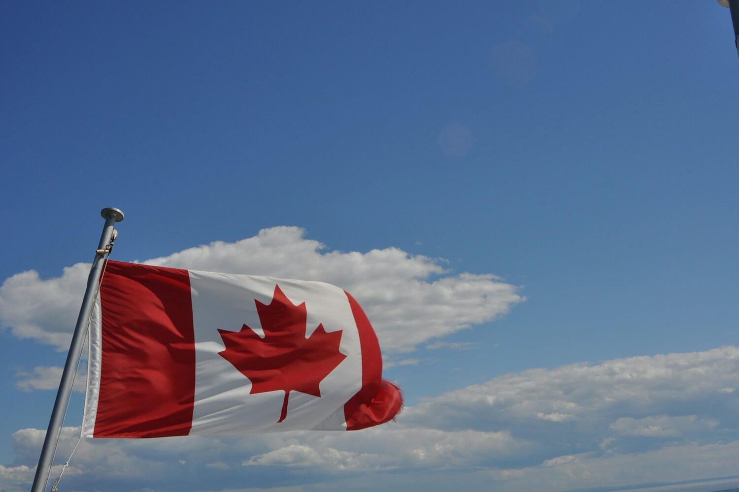 AI-Driven Scripts Probe Canadian Archives for Century-Old Divorce Data