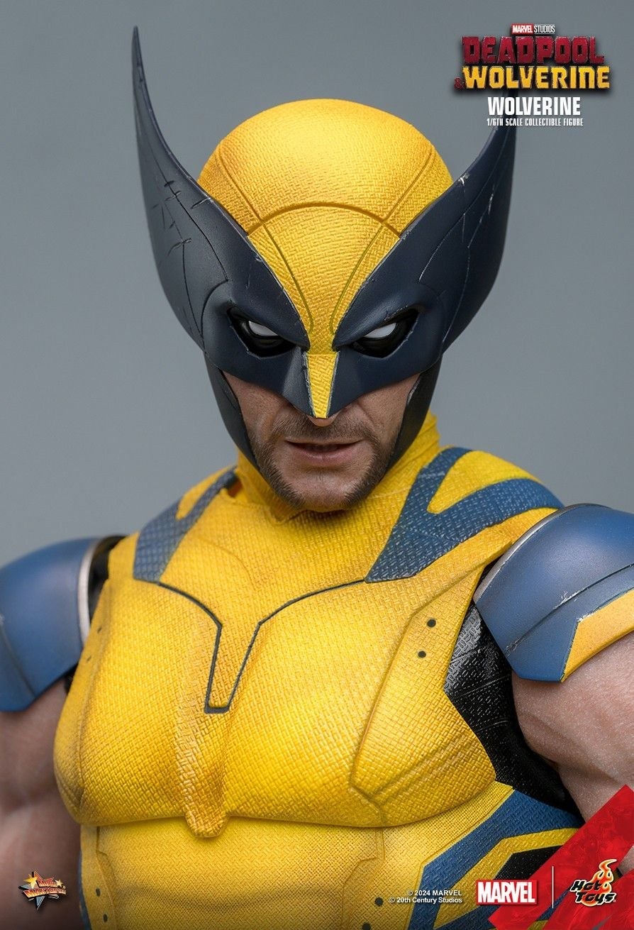 Image: Hot Toys