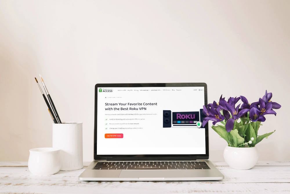 Best VPN for Roku in 2024