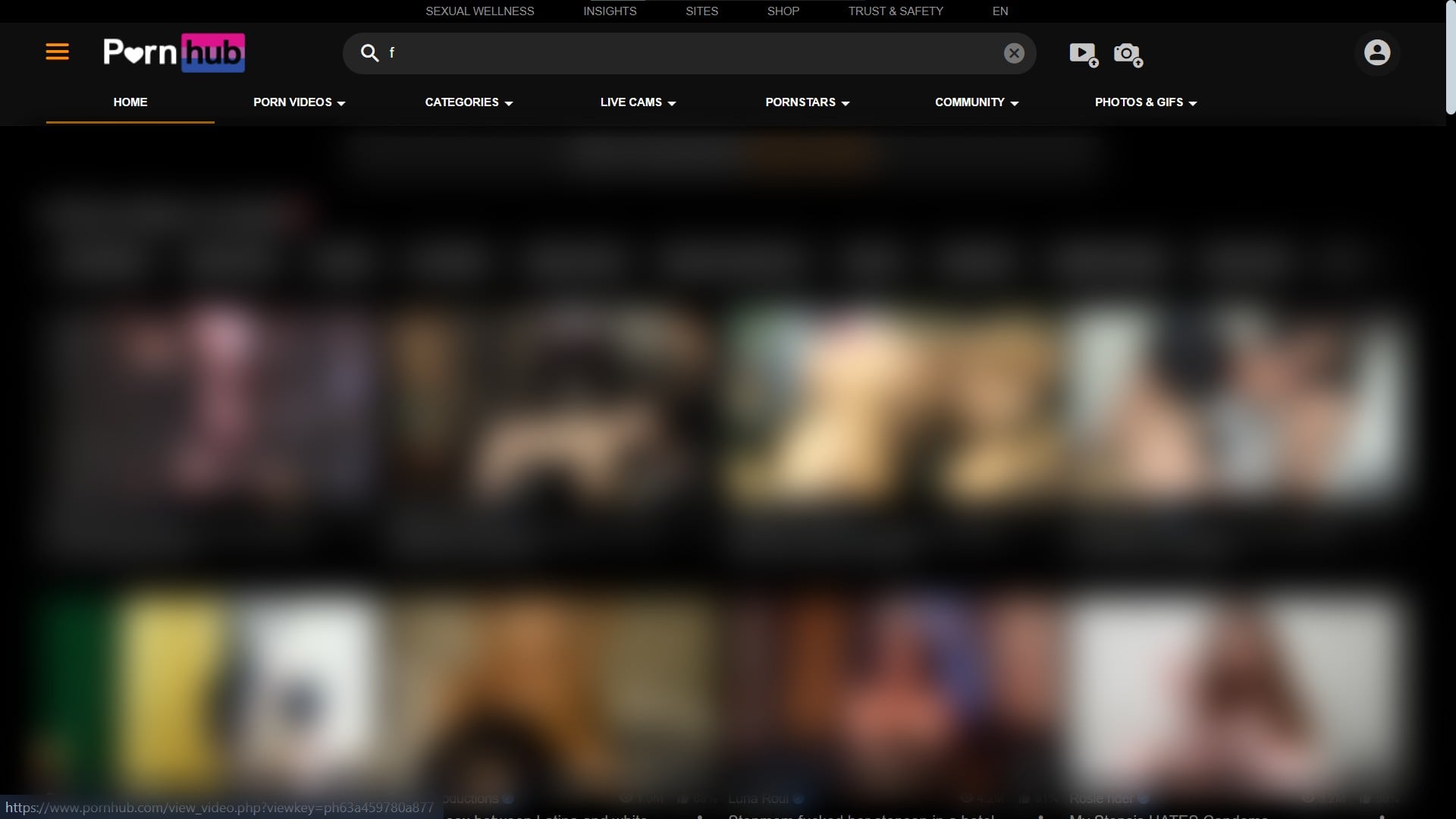 Pornhub Unblocked In Montana