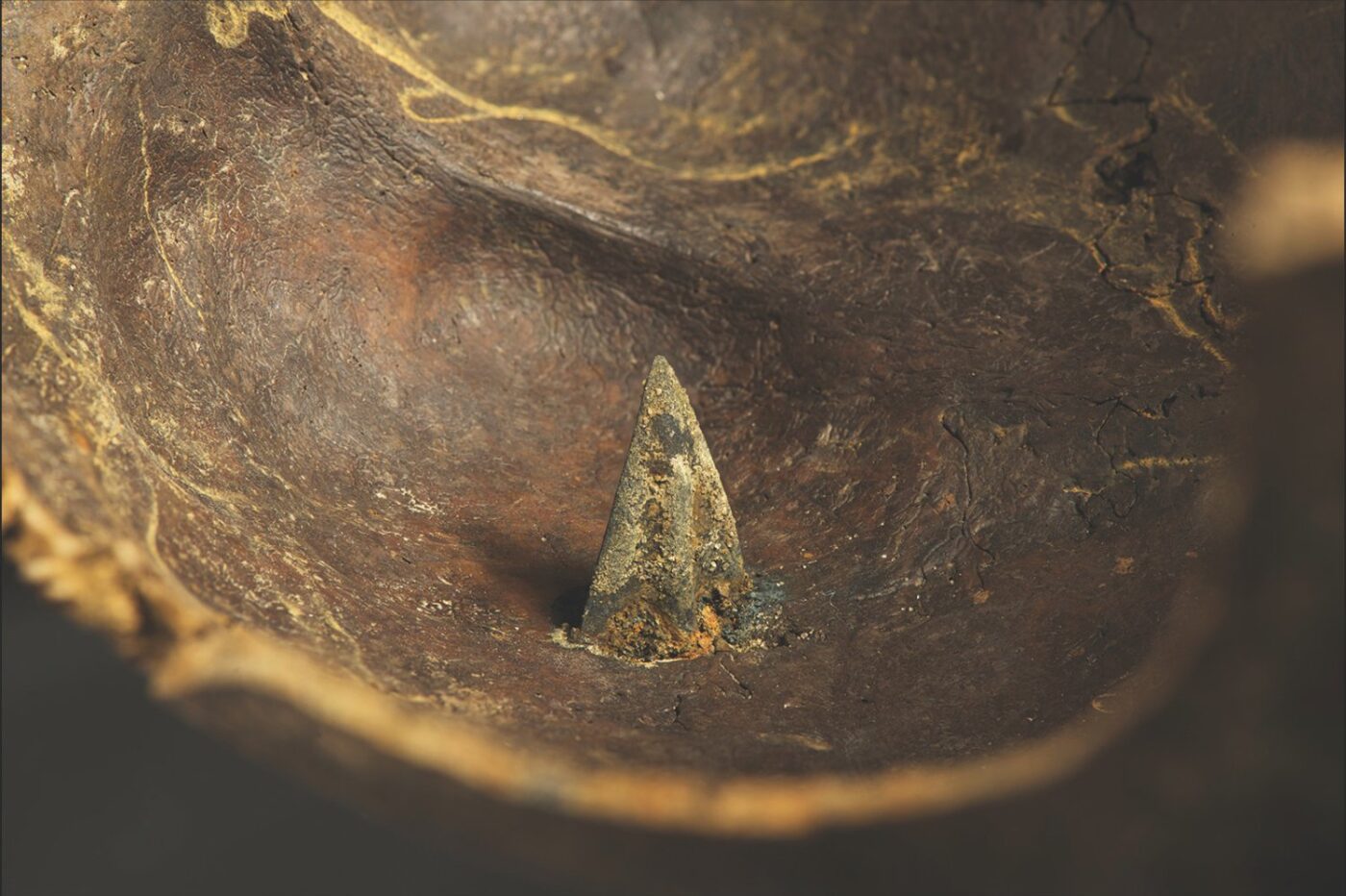 The Coolest Archaeological Discoveries of 2024