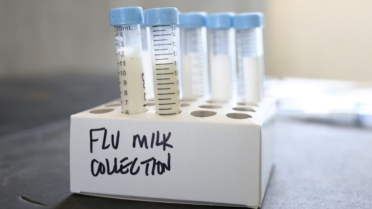 Bird Flu Patient in Louisiana Becomes First Human Death in Current H5N1 ...