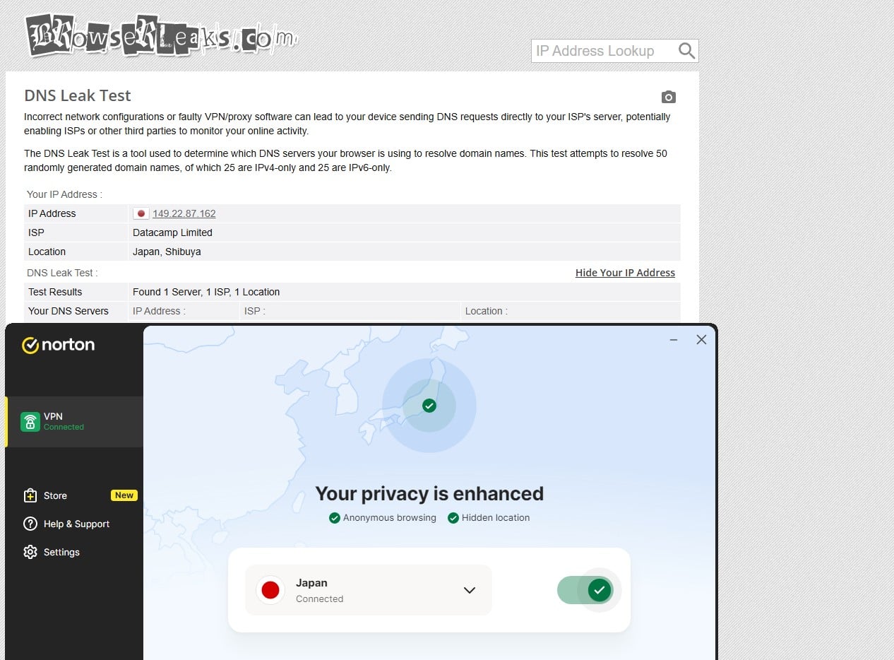 Norton Vpn Dns Leak Test Results