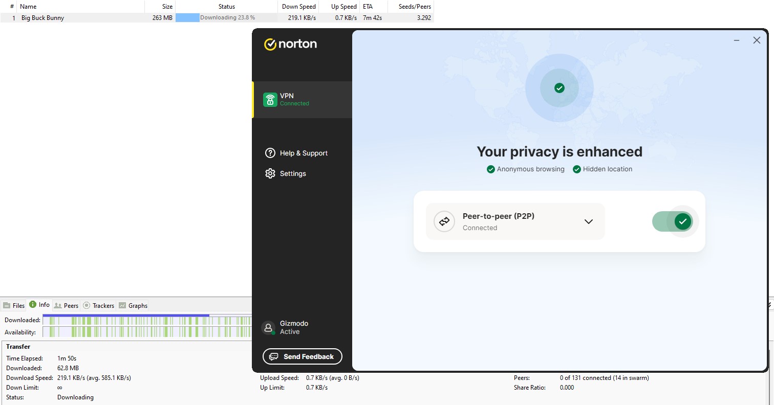 Norton Vpn Torrenting Test Results