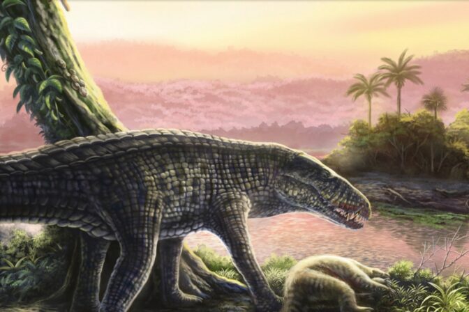Sebecids Sprinting Crocs With 'Legs Like Greyhounds' Once Ruled the Caribbean