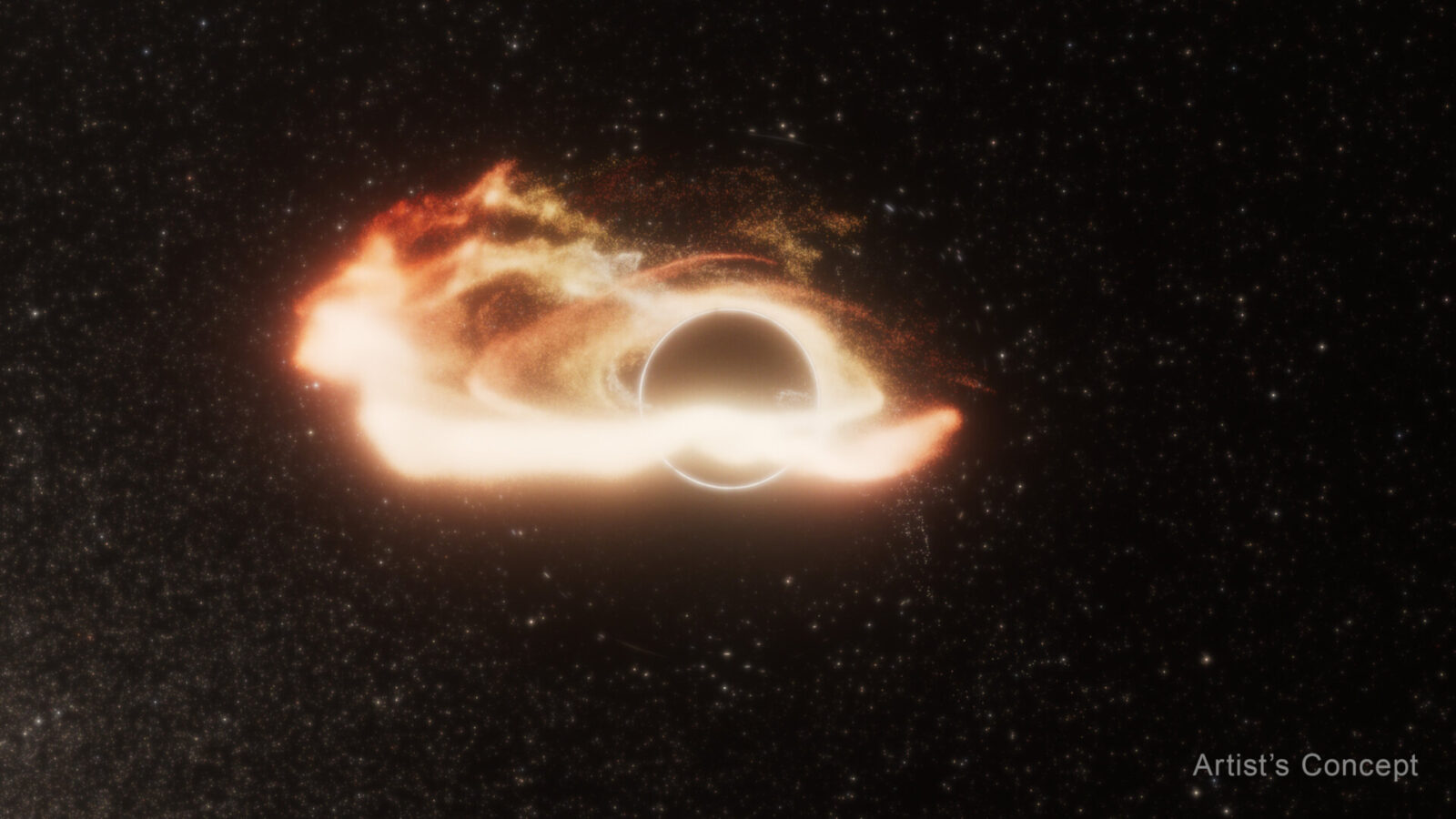 What Happens When Two Black Holes Collide?