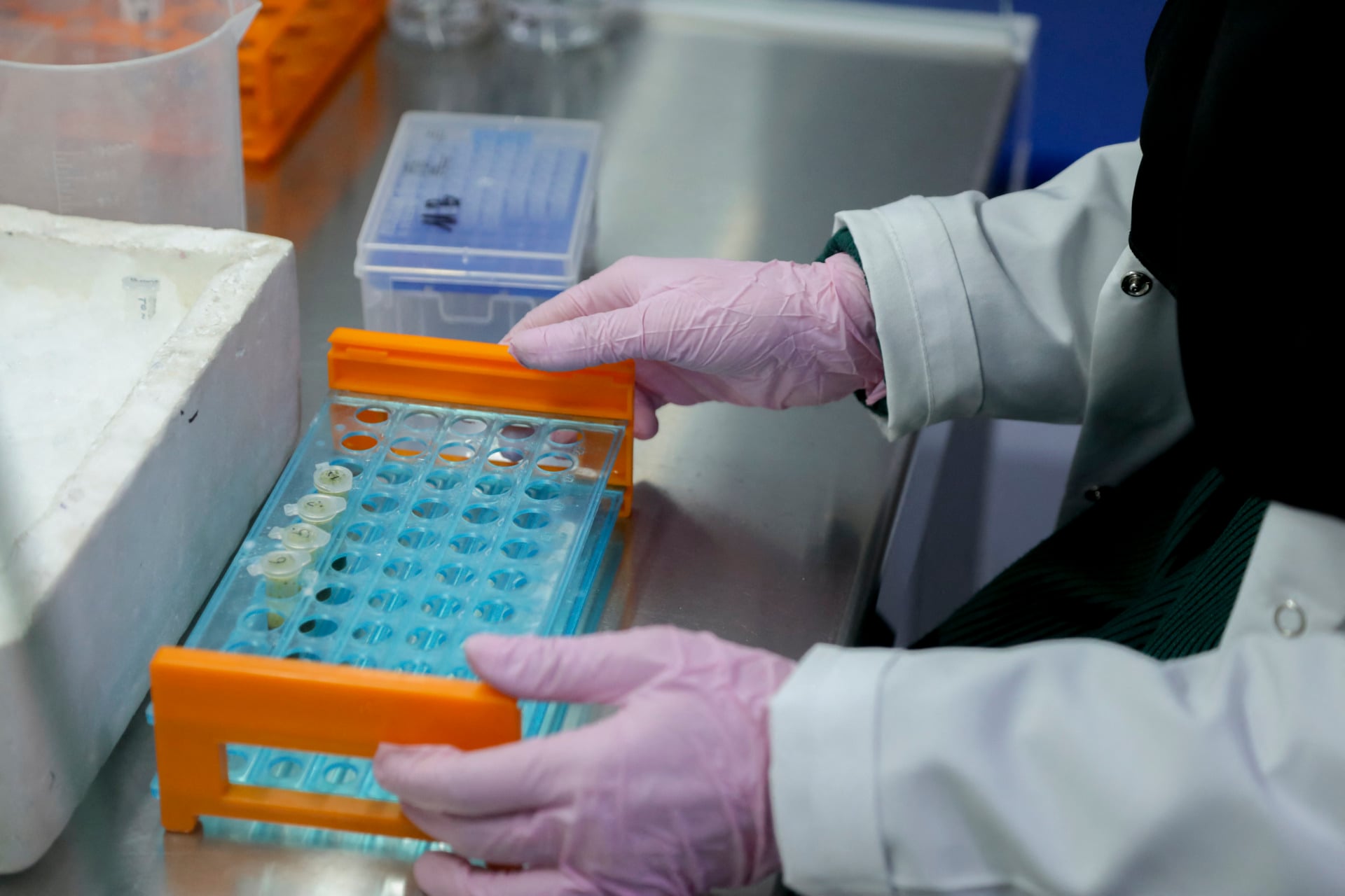 Groundbreaking Scientific Research In Idlib