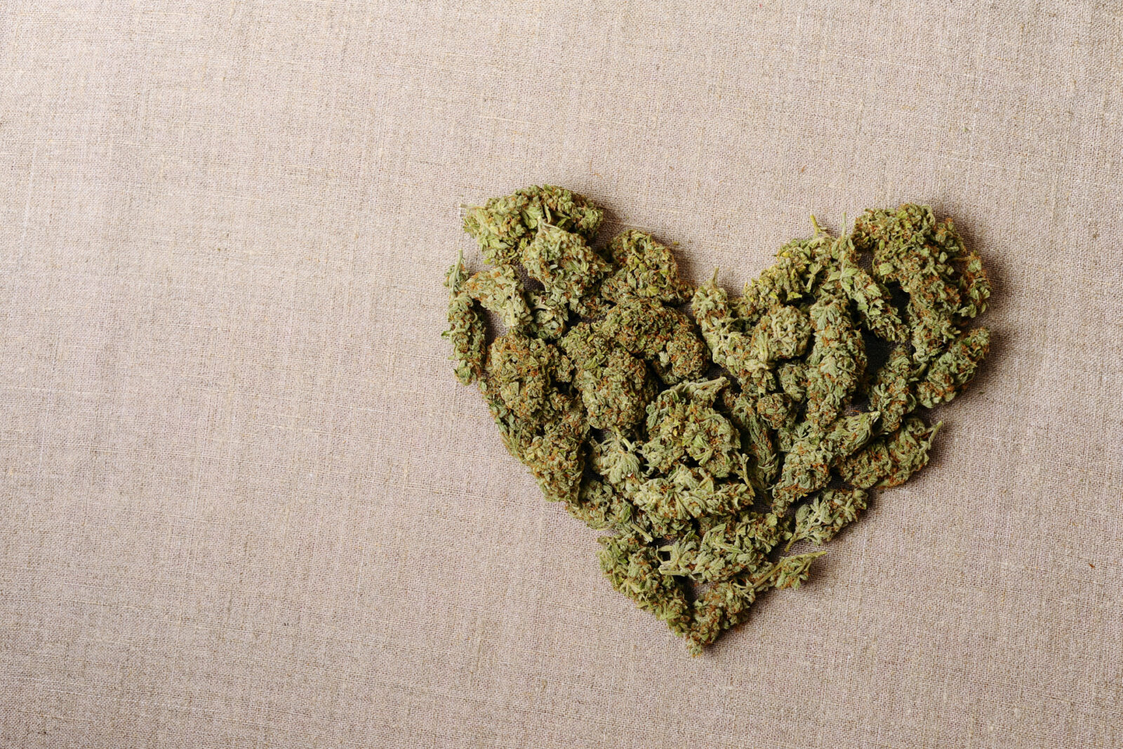 Doctors Blame Cannabis for Healthy Woman's Sudden Cardiac Arrest