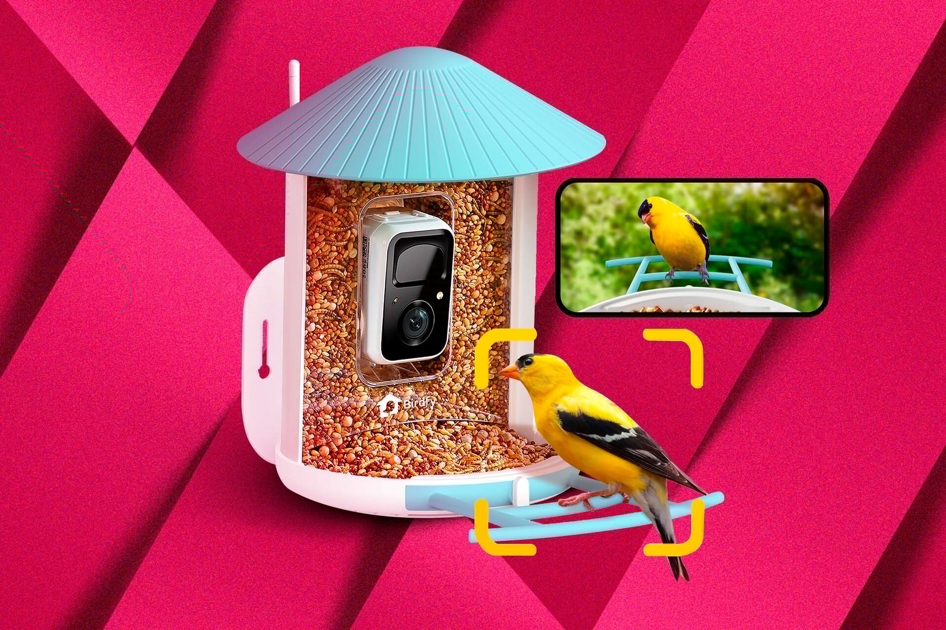 Birdfy Smart Bird Feeder