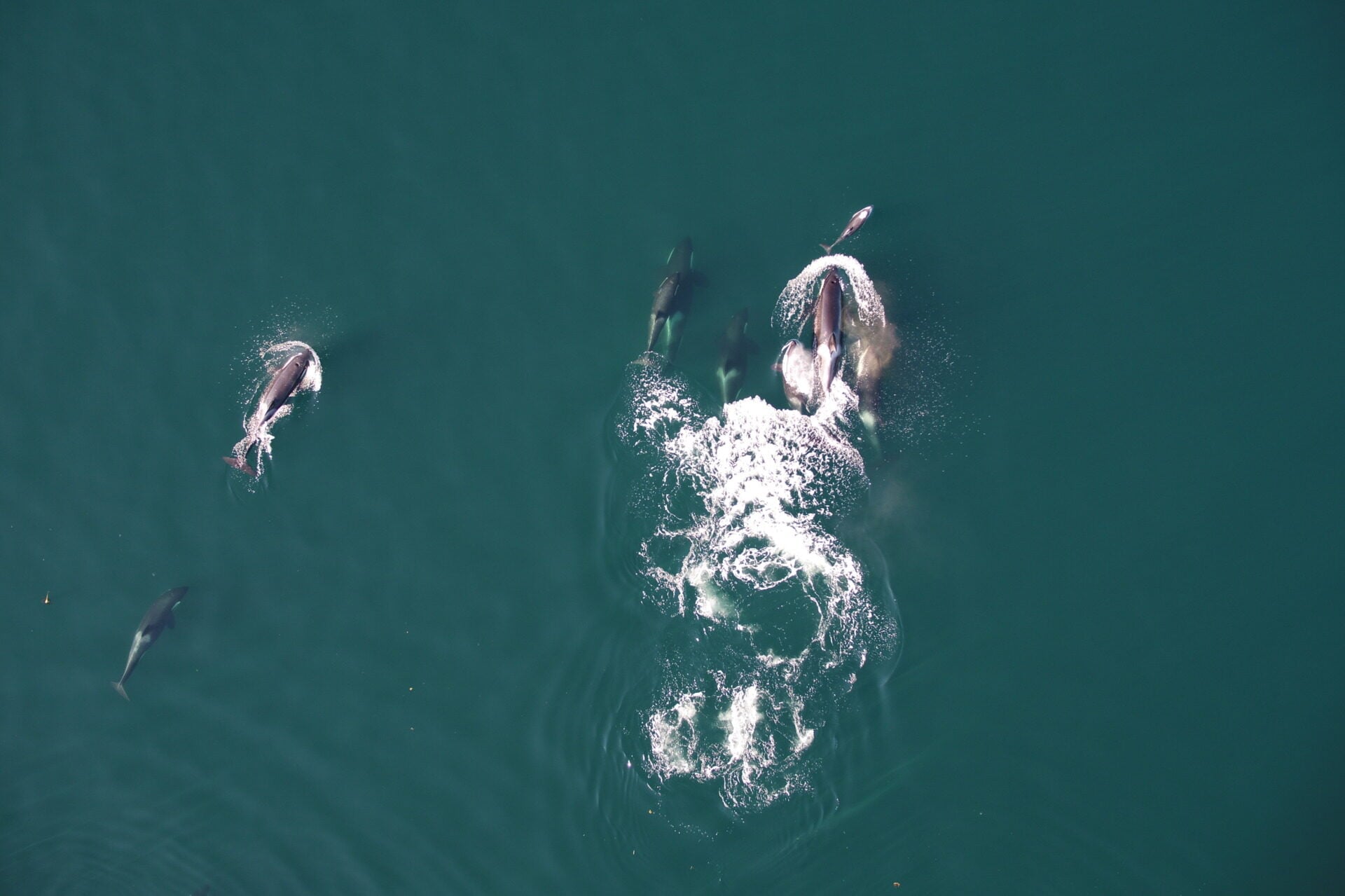 Dcim100mediadji 0132.jpg