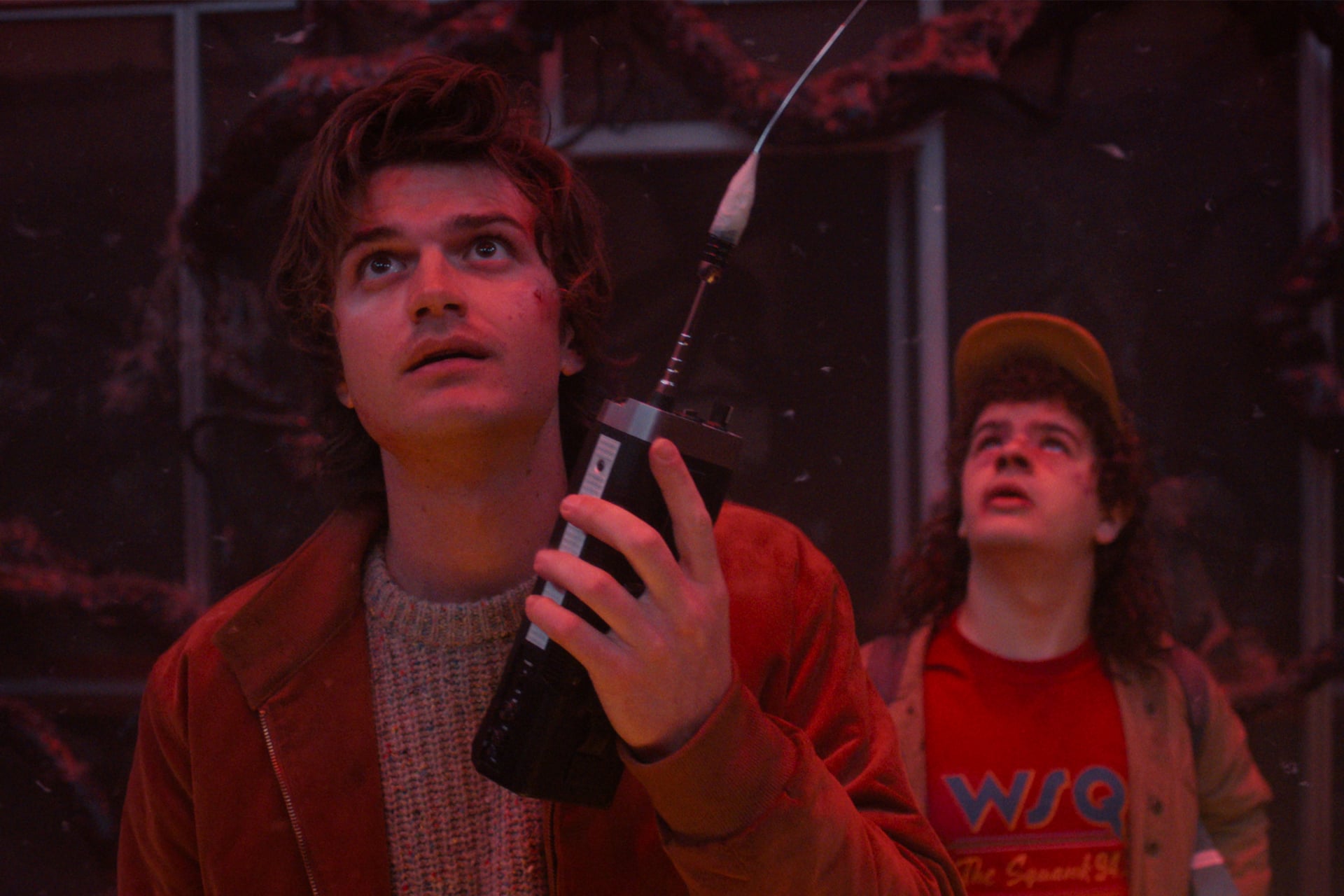 Stranger Things Season 5 Steve Dustin Upside Down