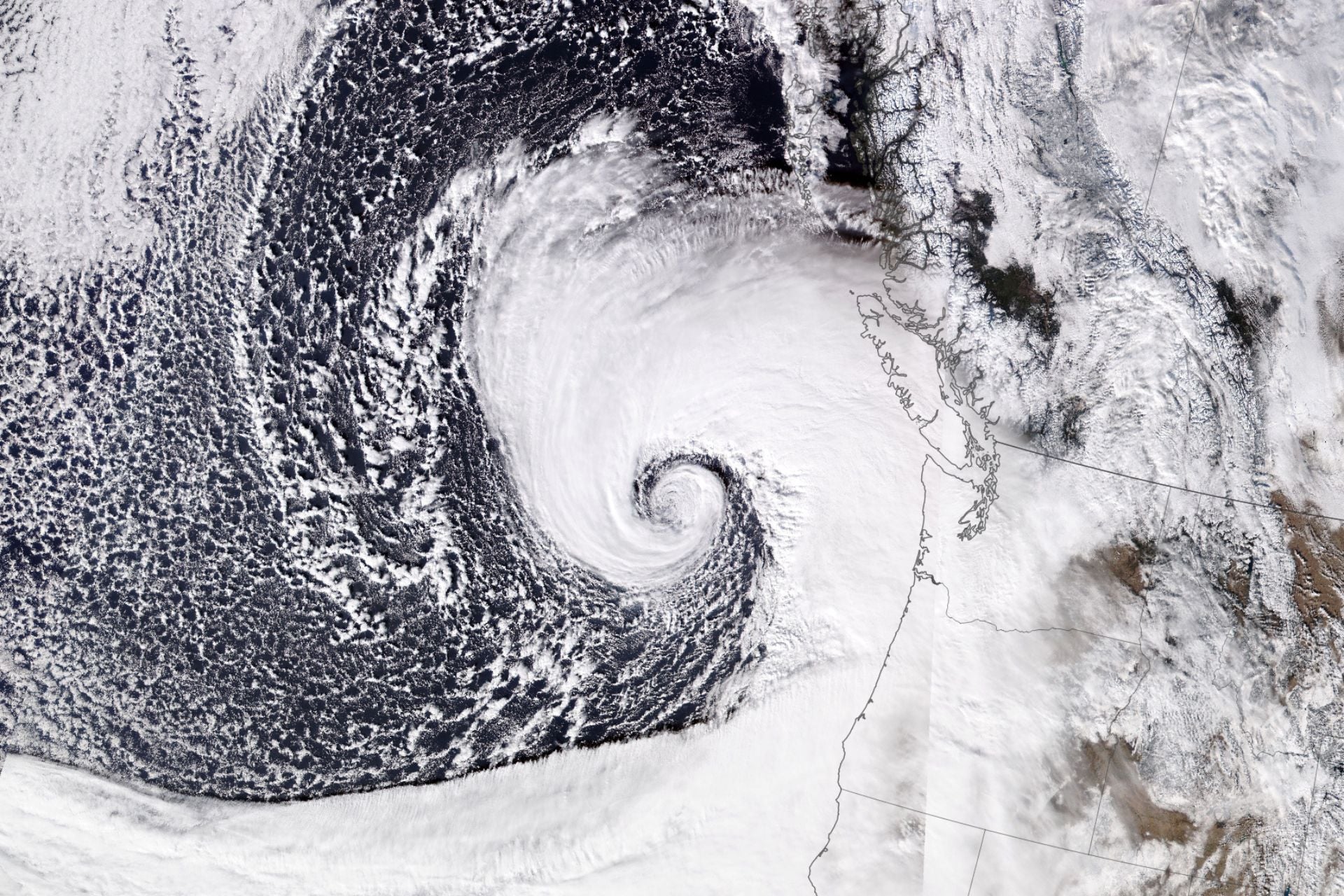 A strong extratropical cyclone hit the Pacific Northwest on November 19, 2024, bringing damaging winds and rain to the region