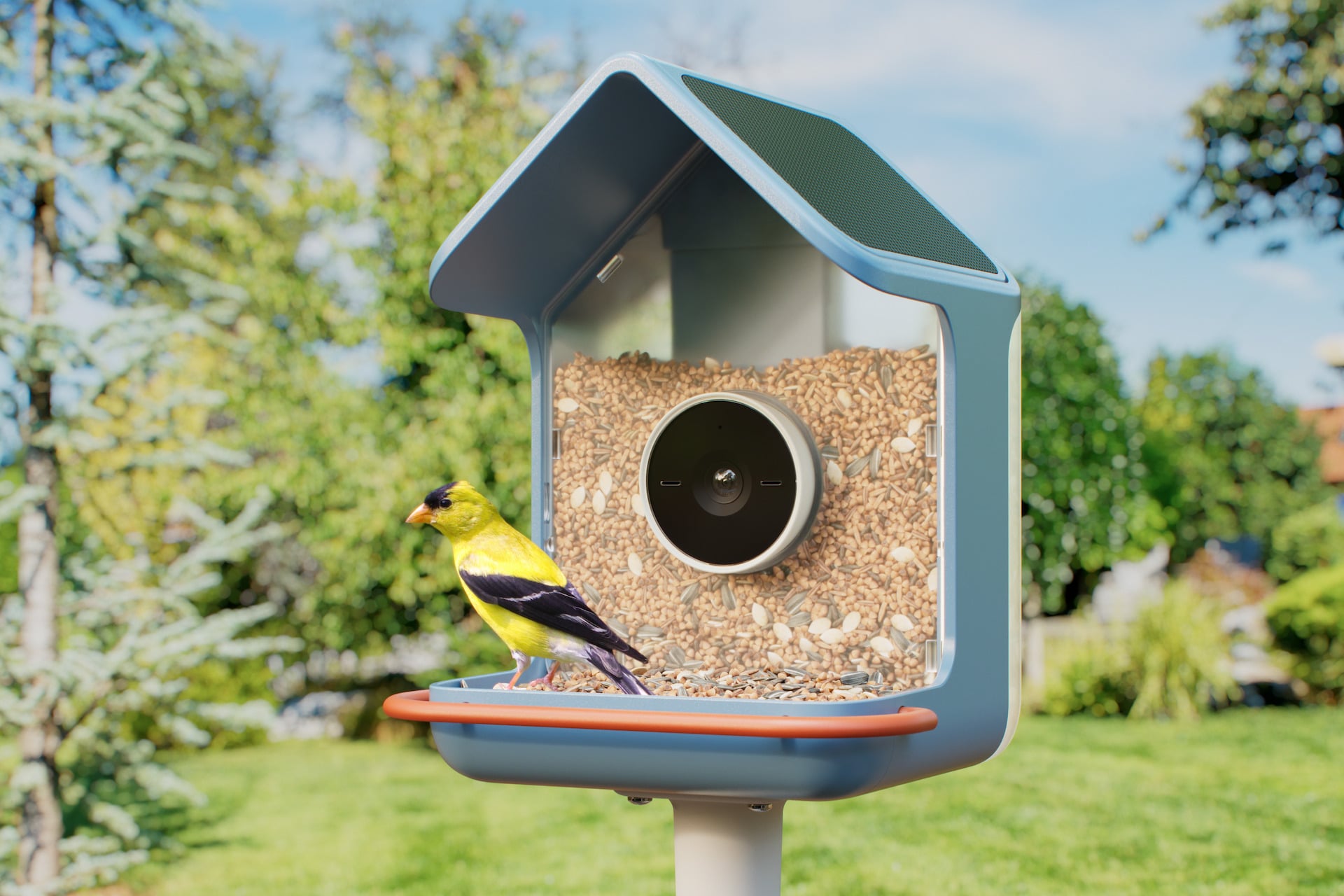 Birdbuddy 2 Smart Bird Feeder