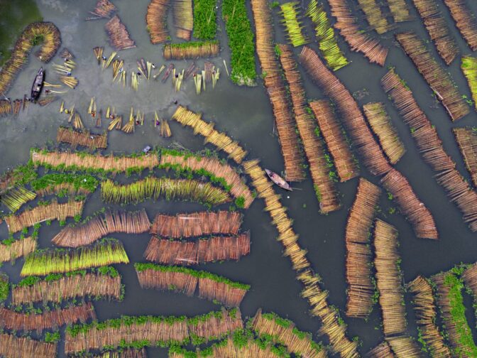 Gaze Deeply Into Nature With These Award-Winning Ecology Photos