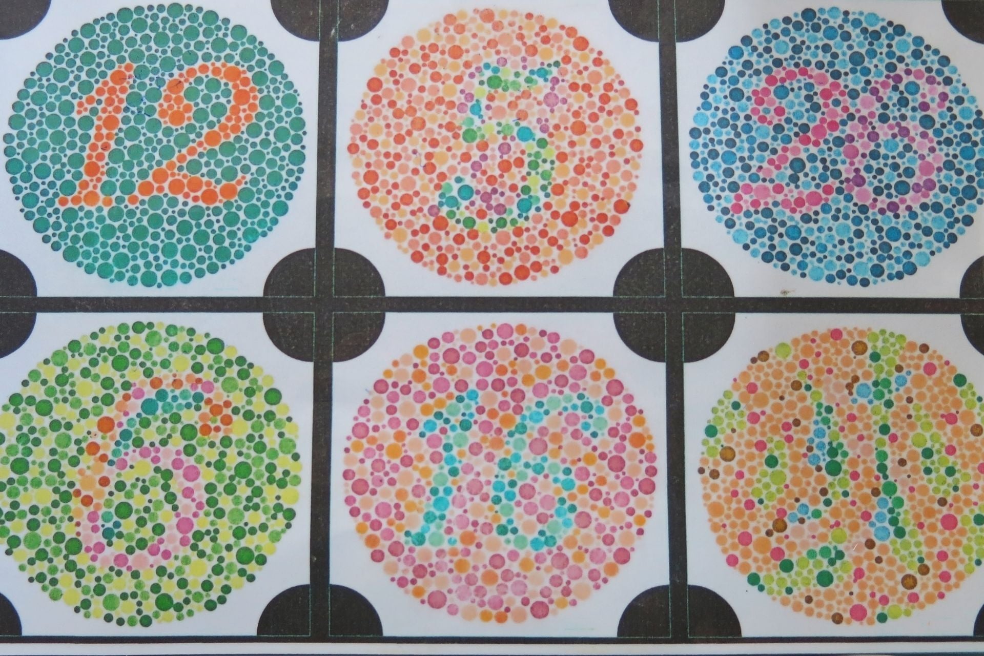 Above, a test used to diagnose colorblindness.