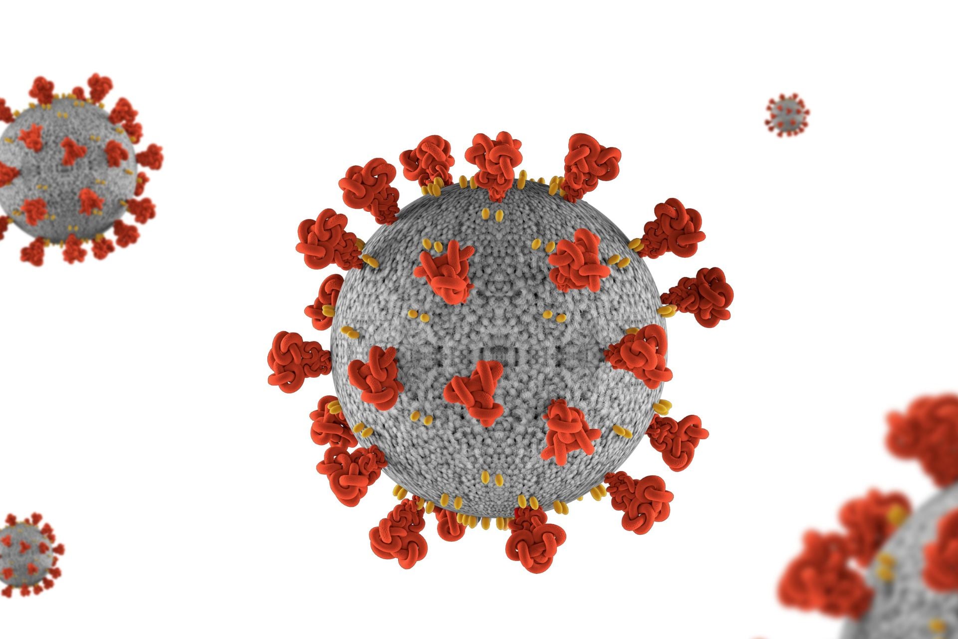 Above, a 3D illustration of the SAR-CoV-2 coronavirus, the cause of covid-19, with its spike proteins visible in red.