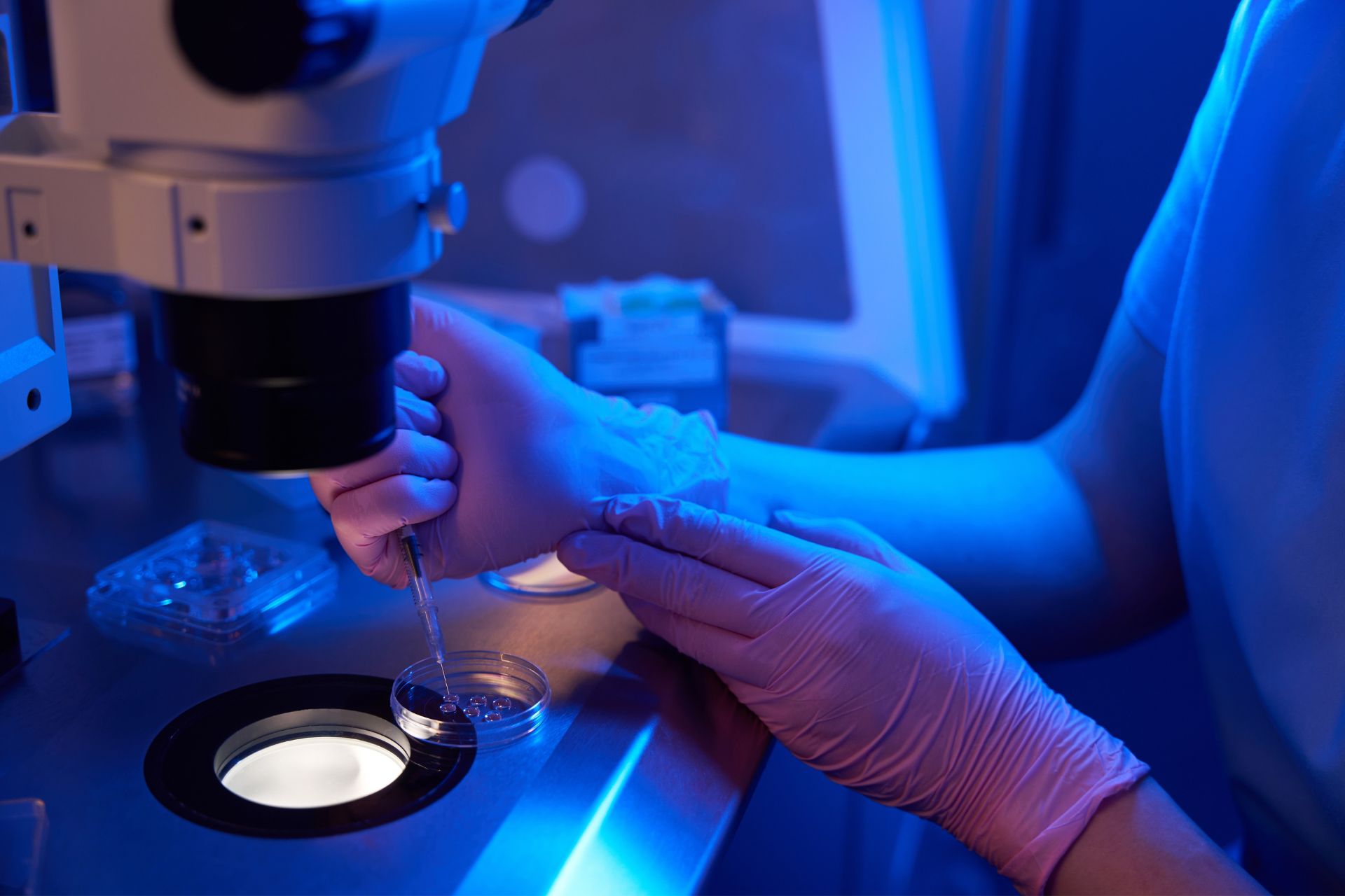 A researcher working with egg cells in a petri dish.