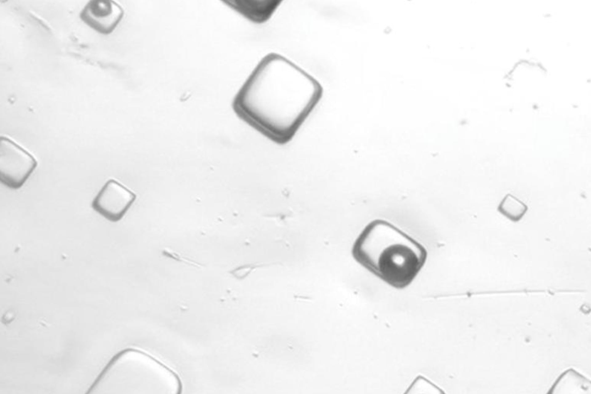 Fluid inclusions in the crystals.