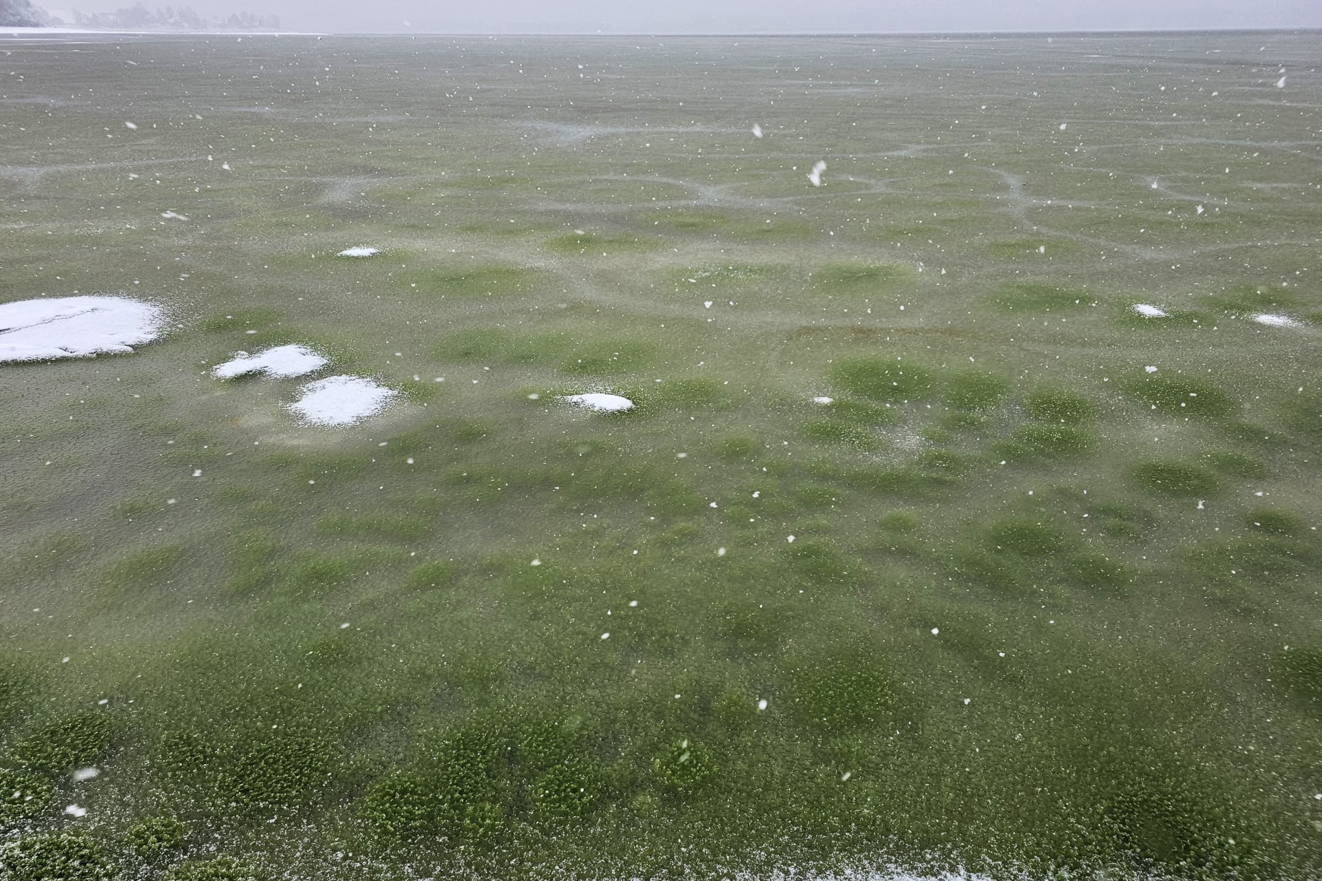 Green ice on Lake Lipno in South Bohemia.