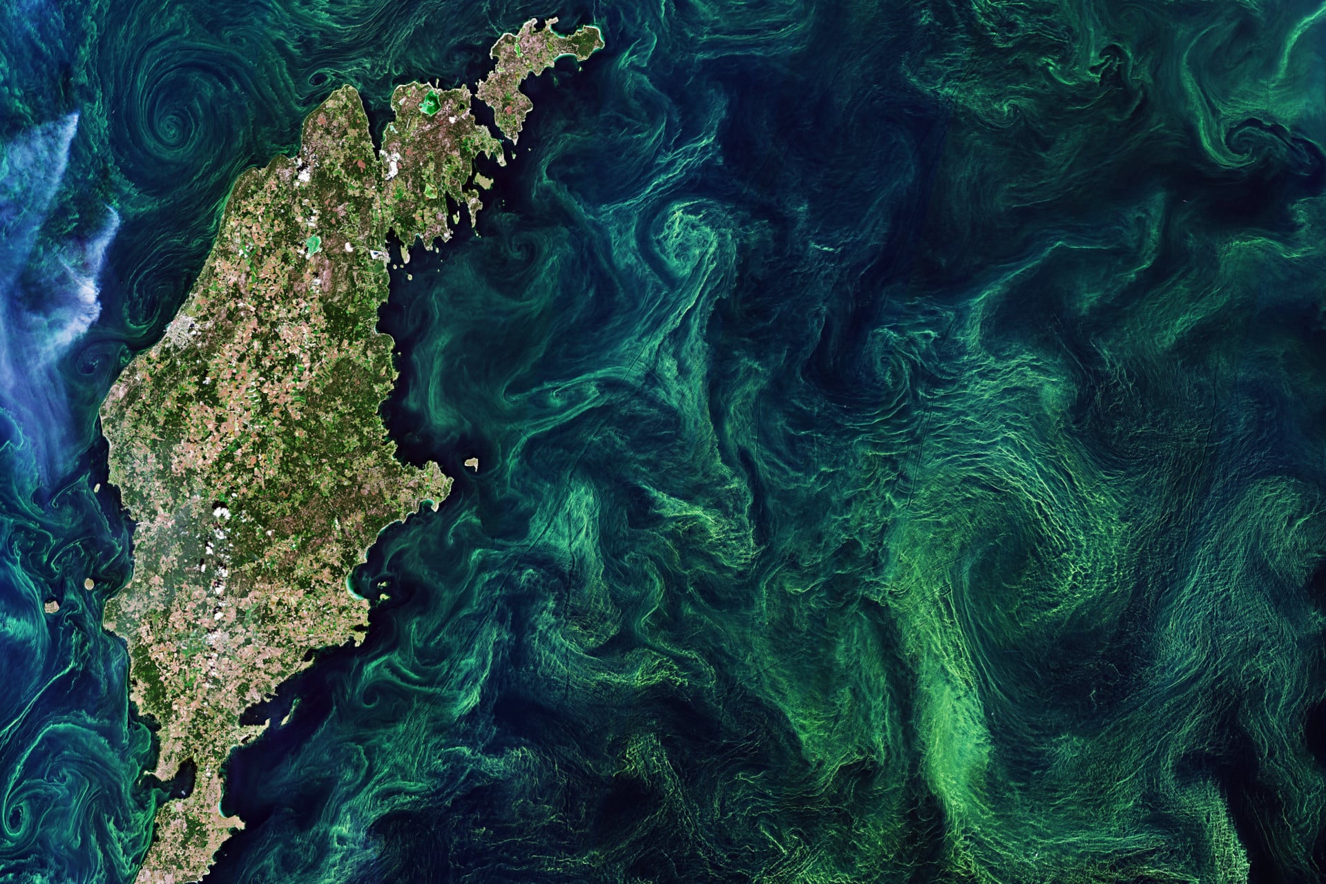 The Copernicus Sentinel-2 mission showed green algae blooms swirling around the Baltic Sea.