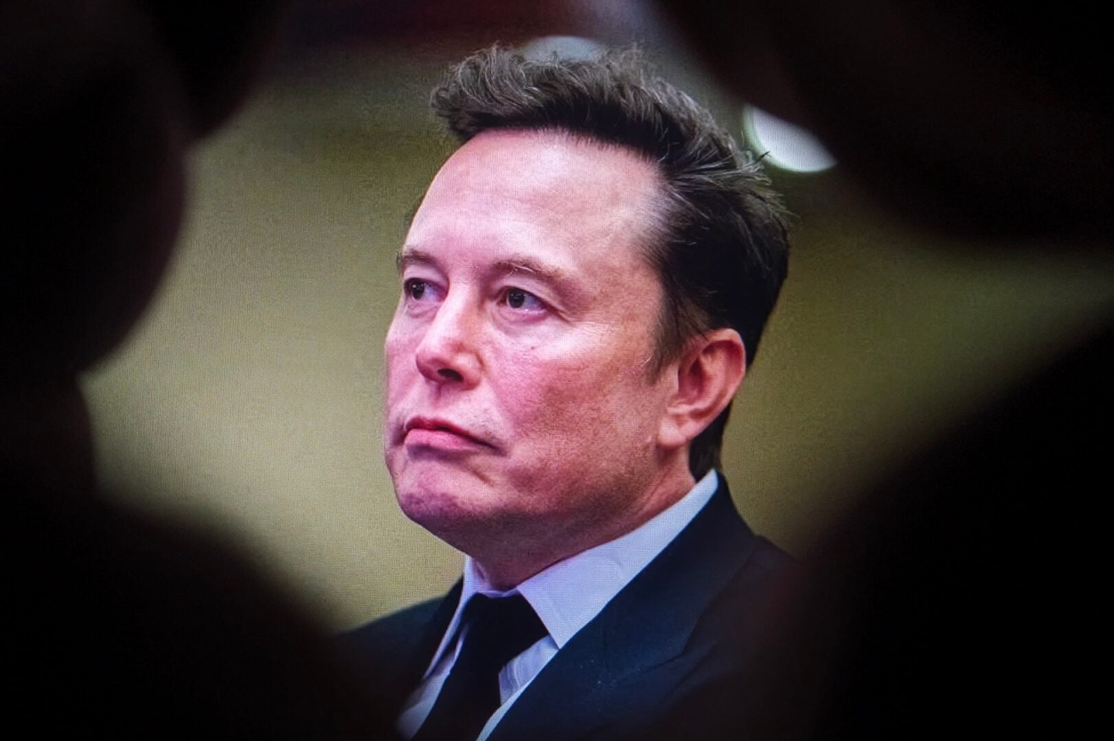 Elon Musk is seen through a hole