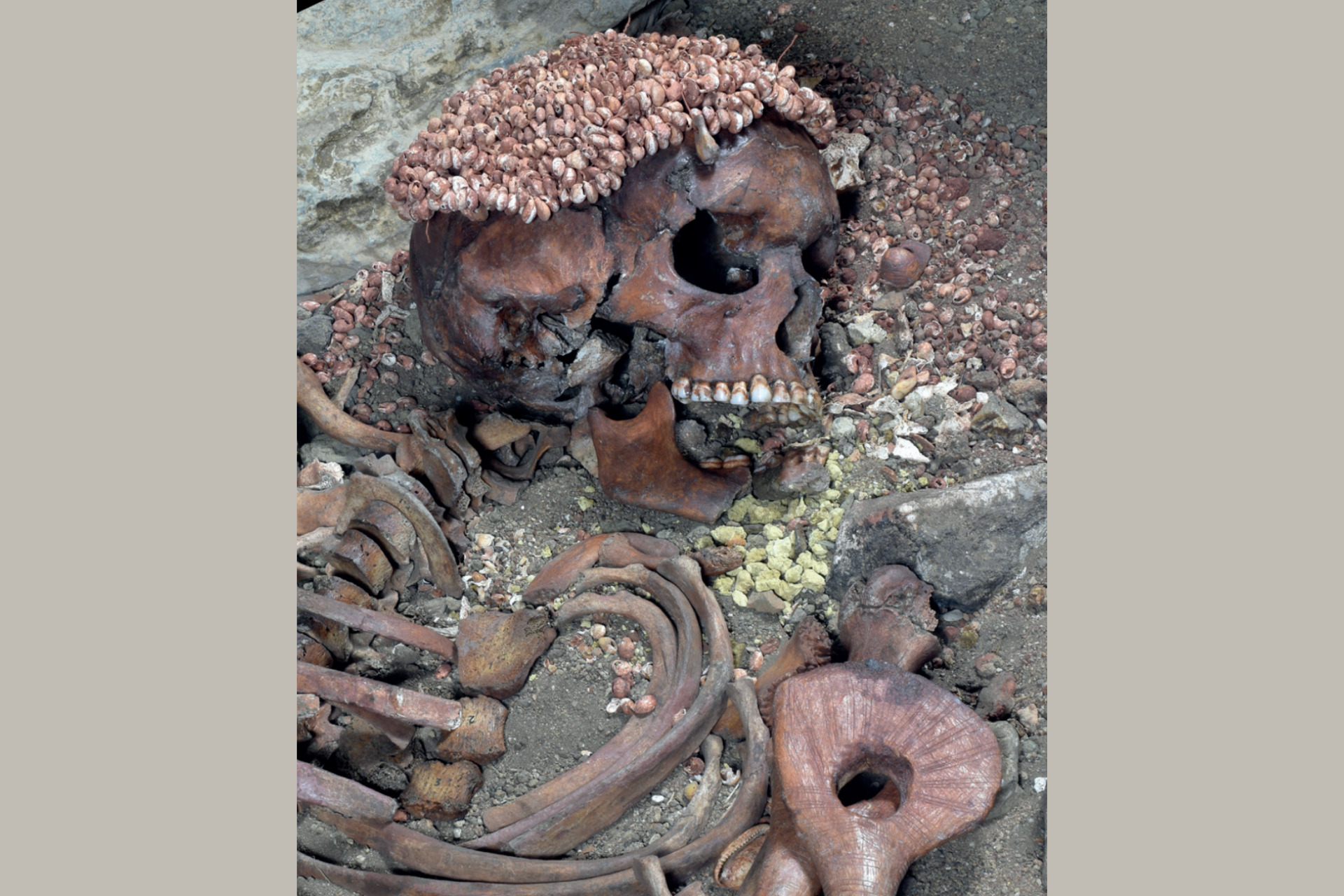 Il Principe was discovered with burial objects.